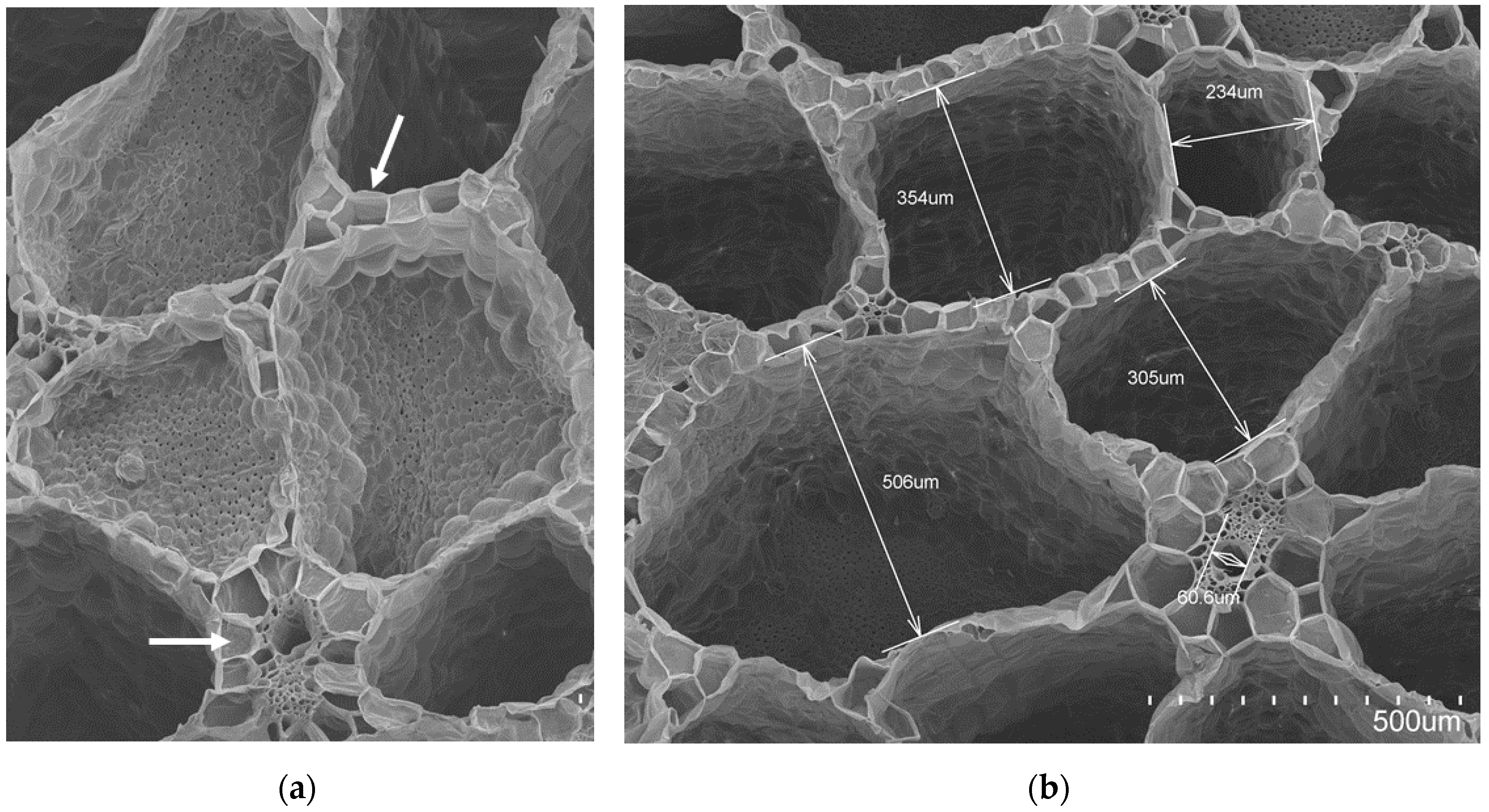 Materials 12 00560 g005