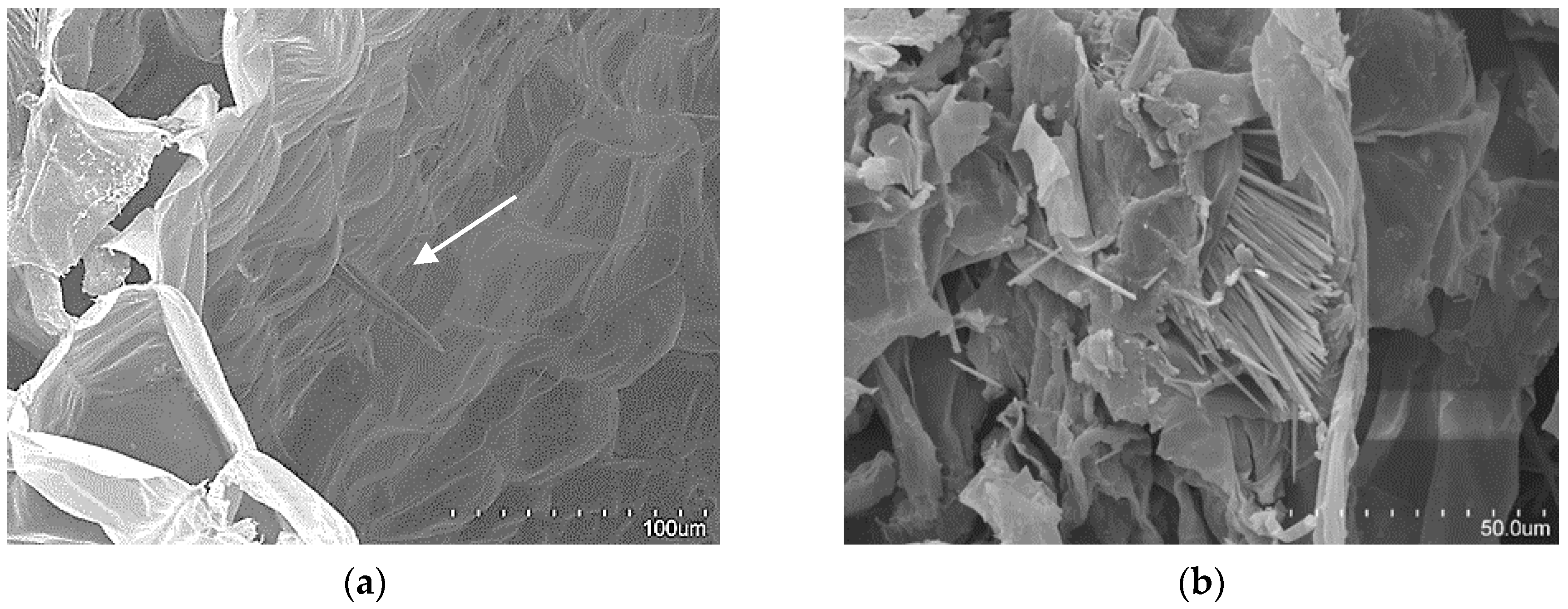 Materials 12 00560 g006