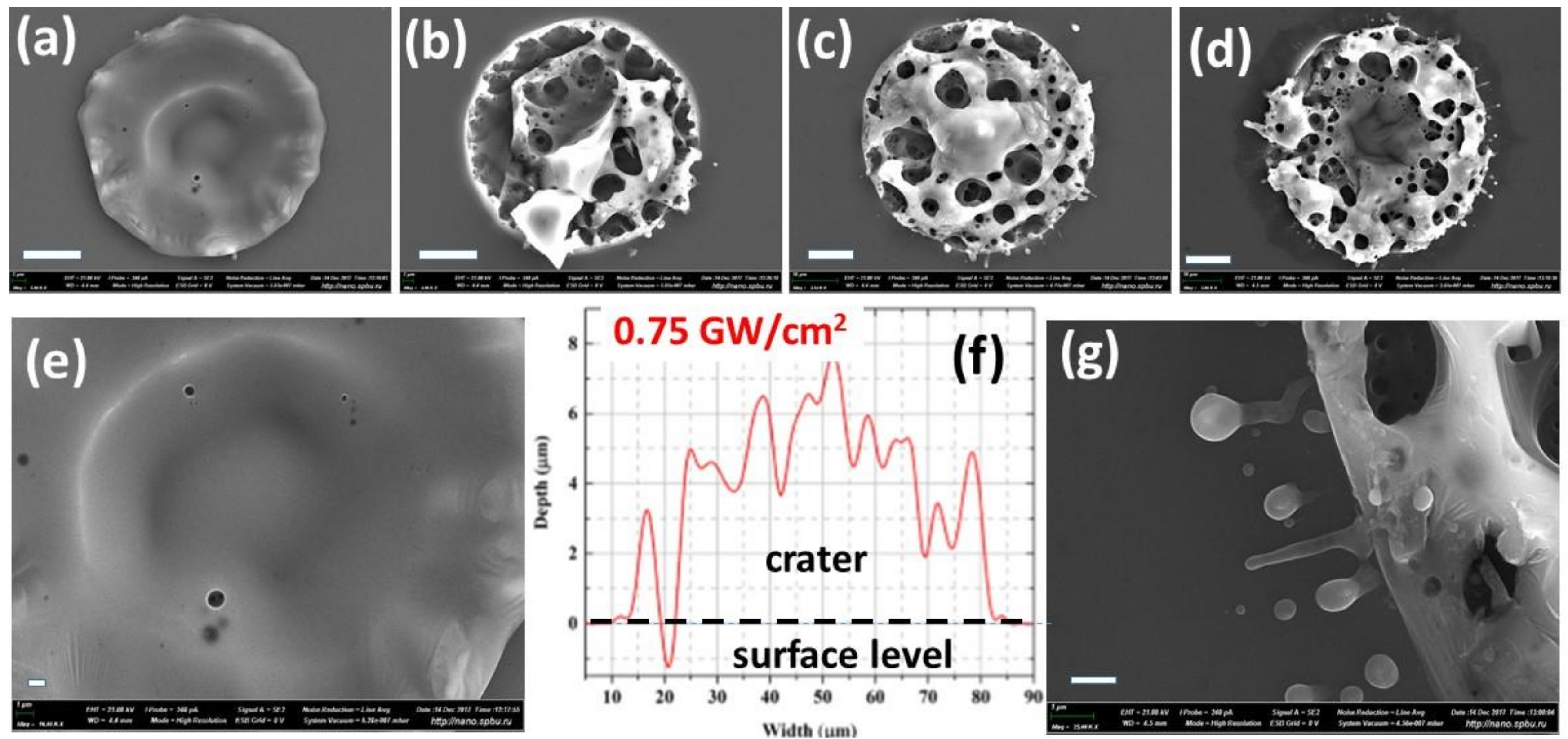 Materials 12 00562 g004