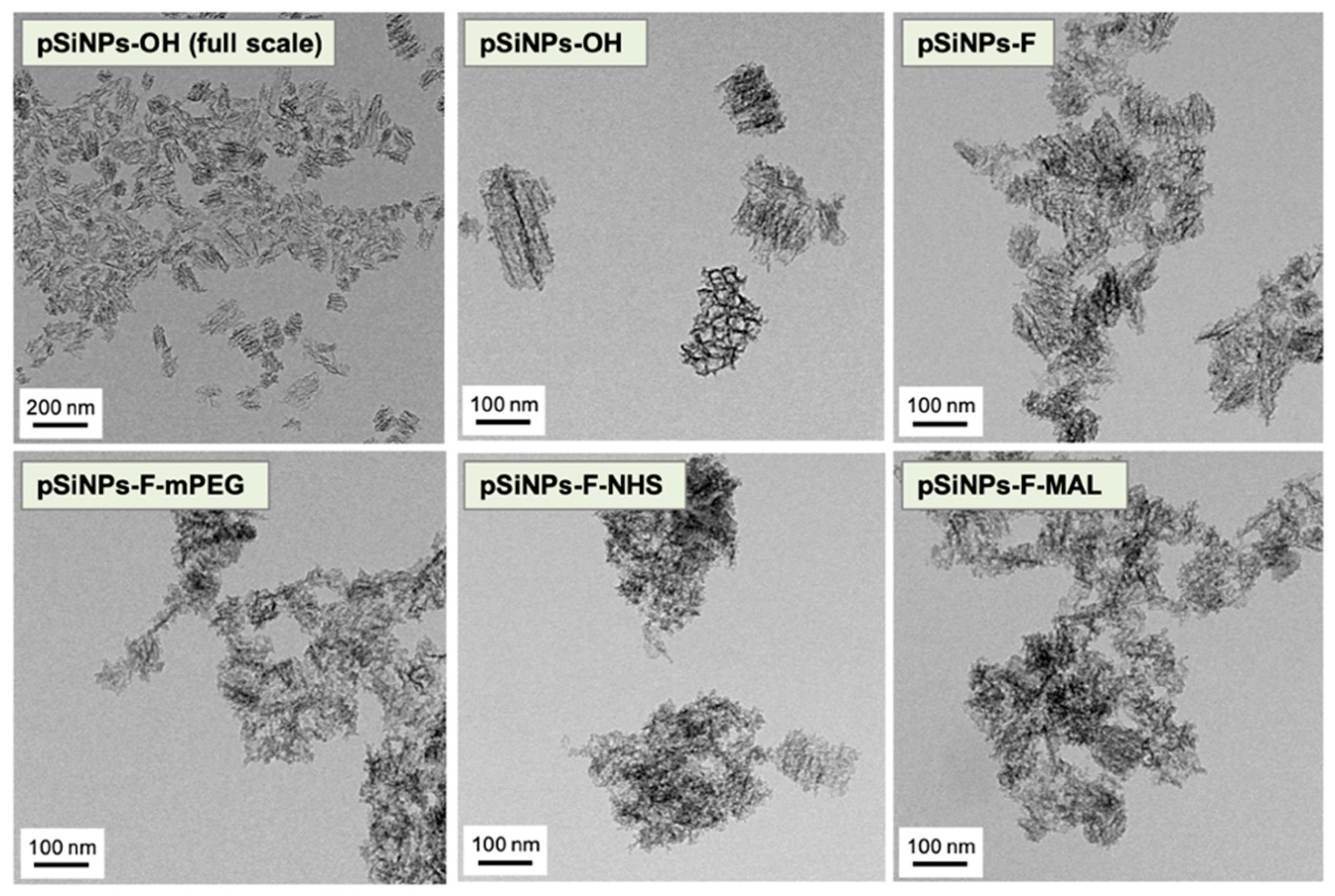 Materials 12 00580 g003 Materials 12 00580 g003