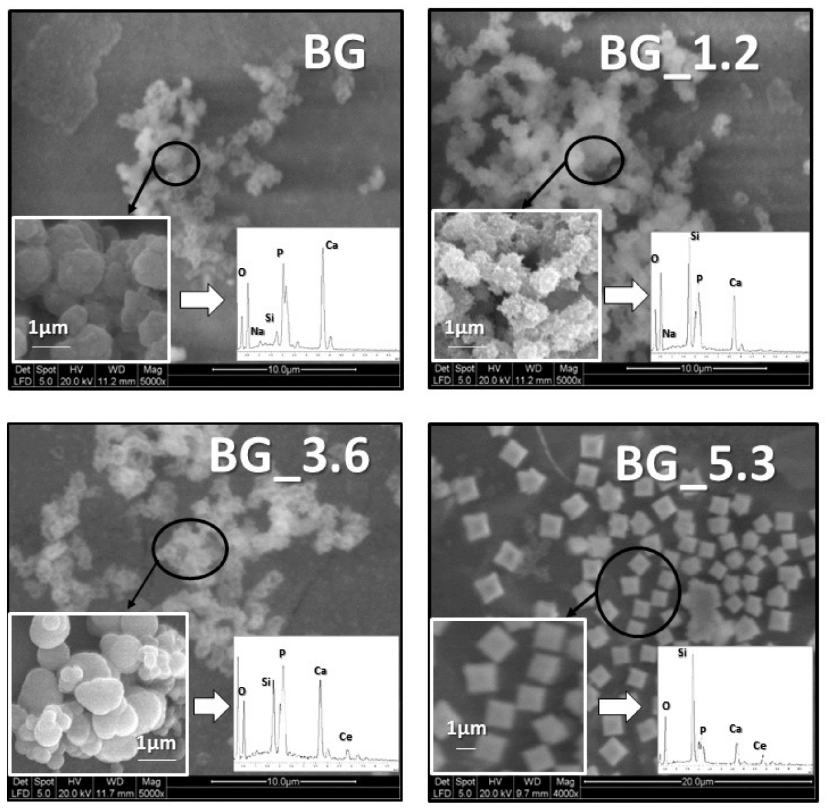 Materials 12 00594 g001 Materials 12 00594 g001
