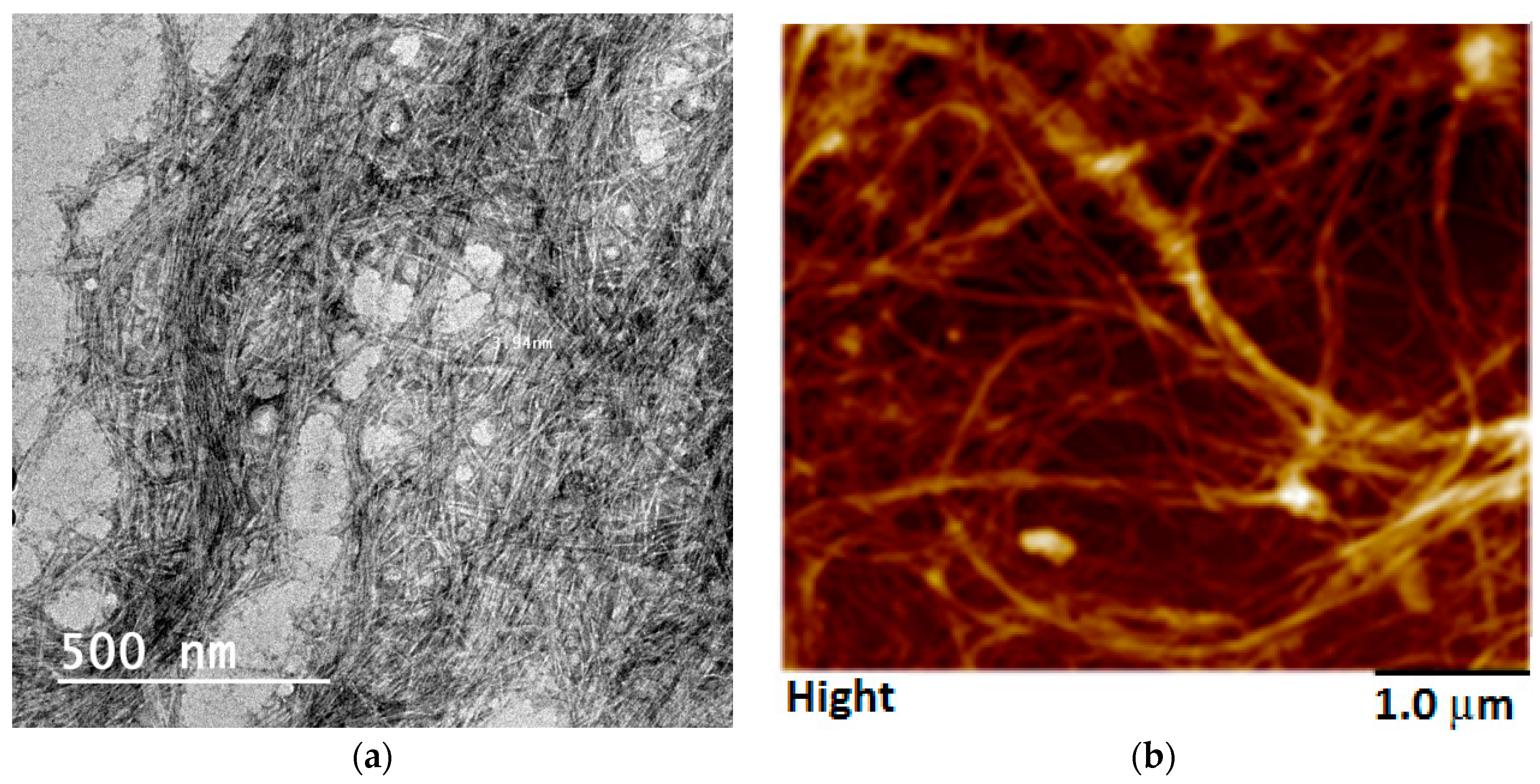 Materials 12 00595 g001