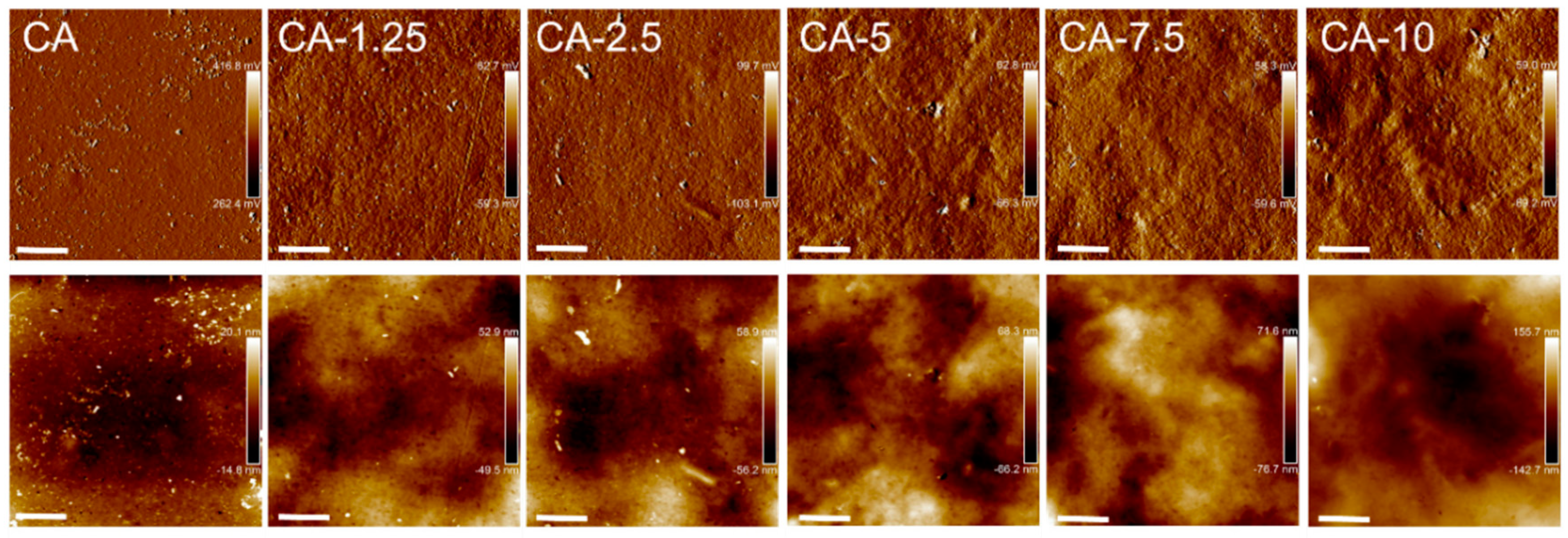 Materials 12 00595 g006