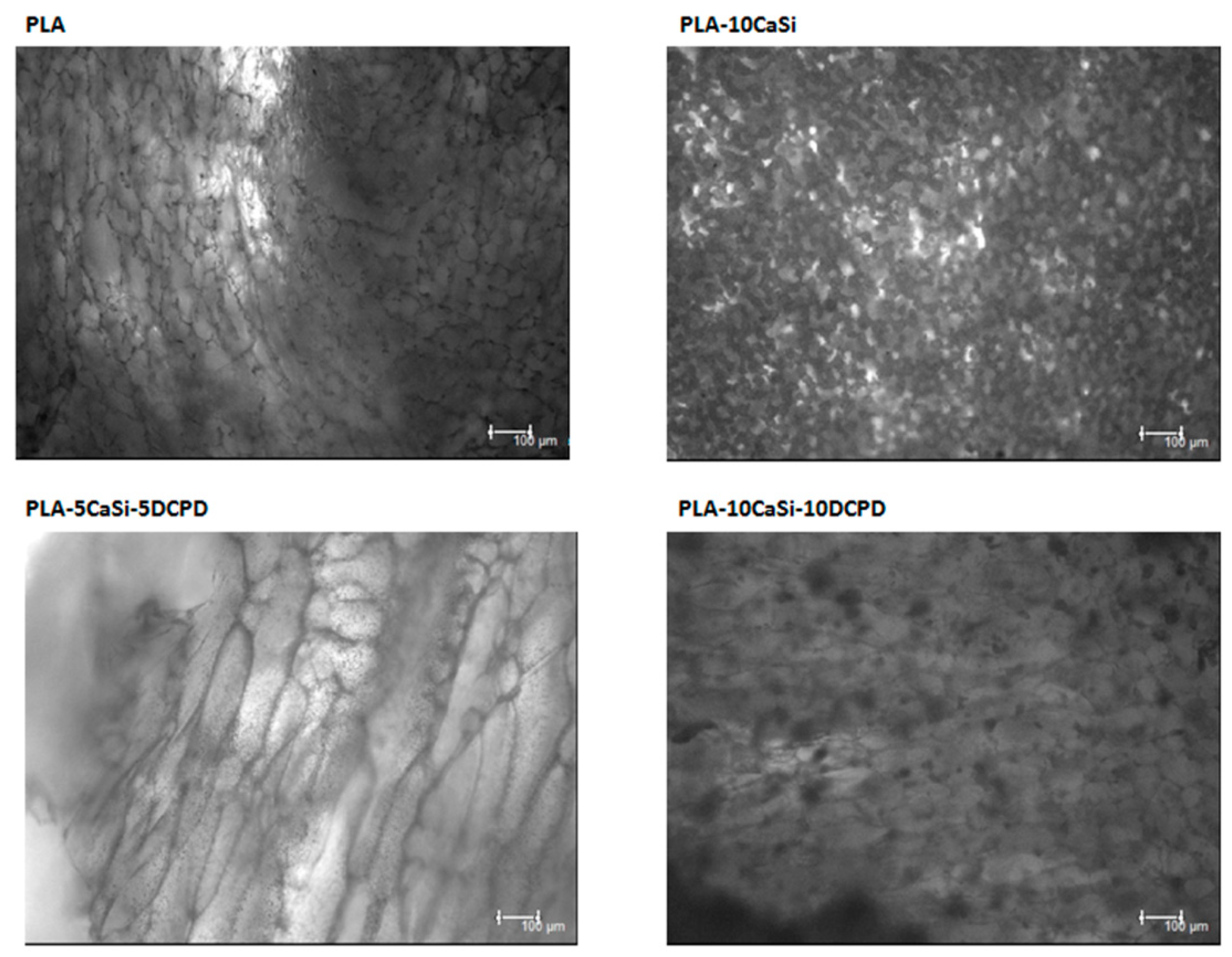 Materials 12 00597 g012