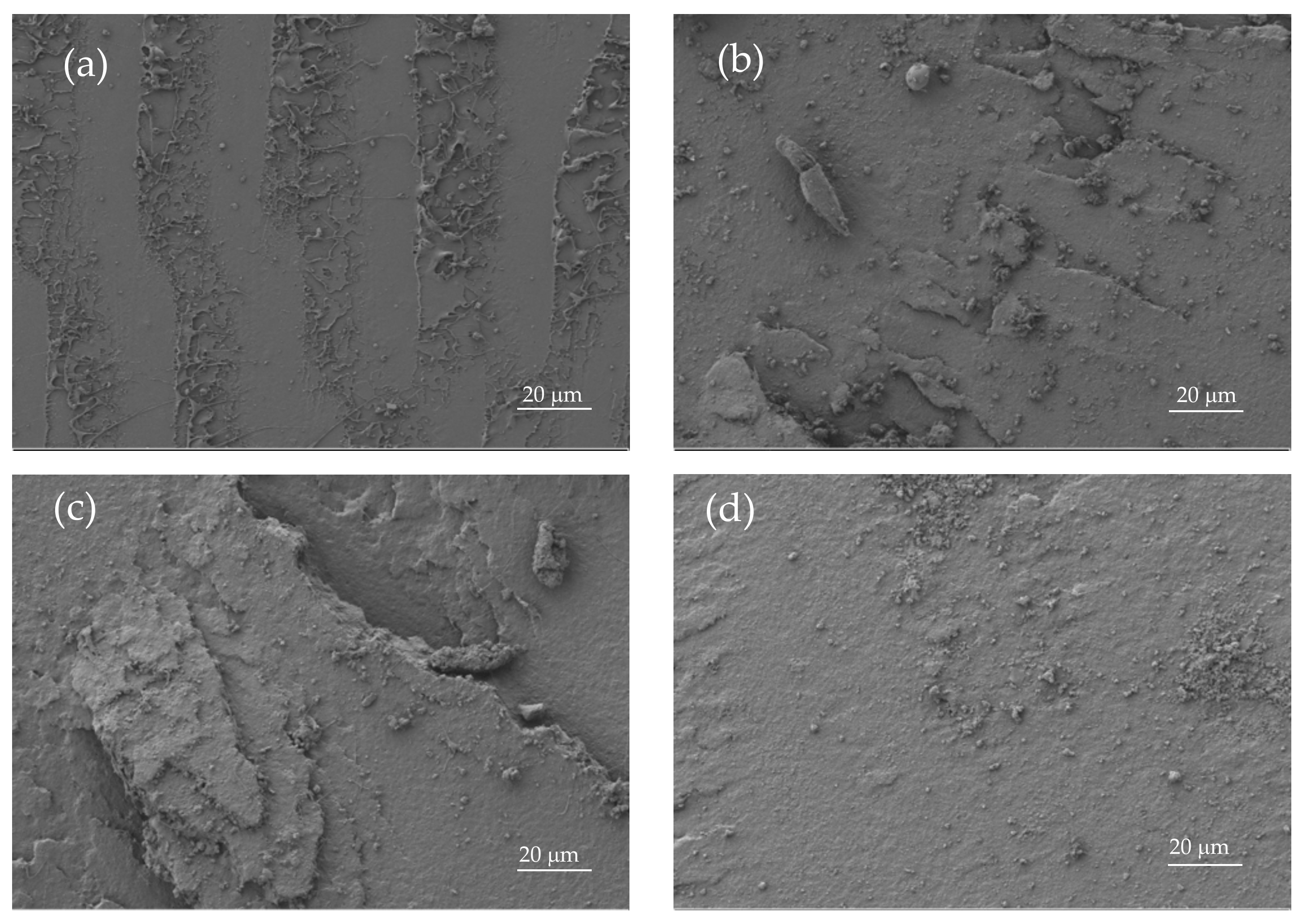 Materials 12 00622 g003a 550