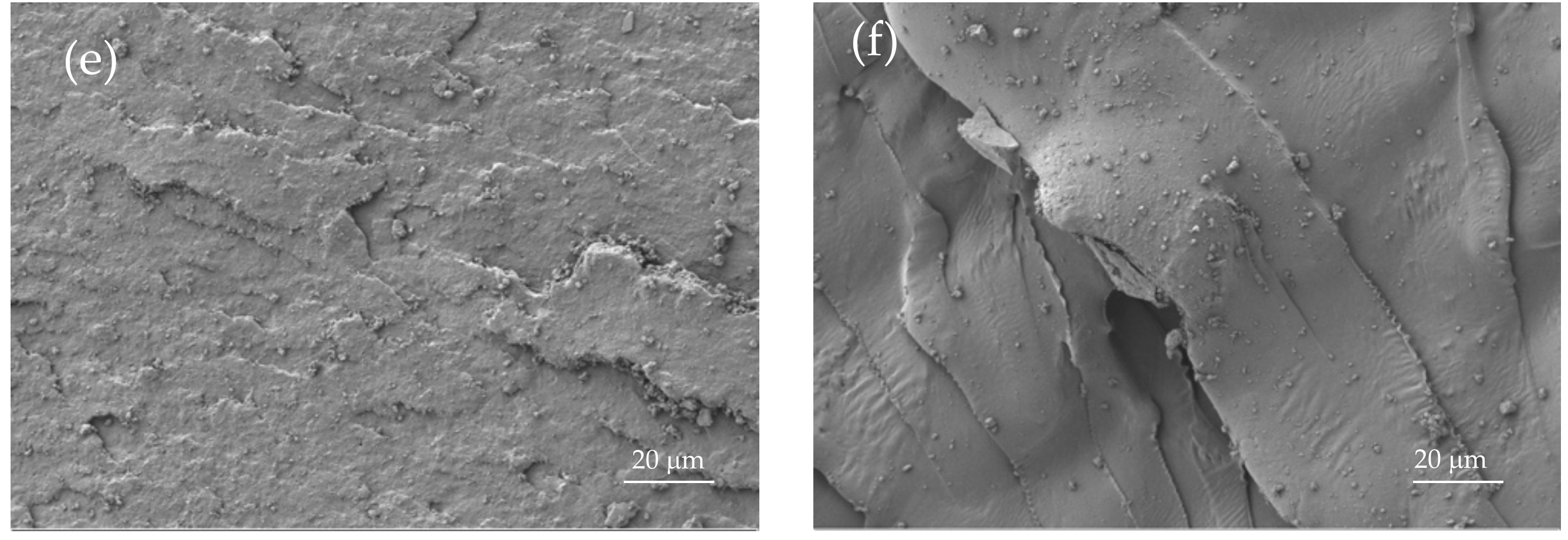 Materials 12 00622 g003b 550