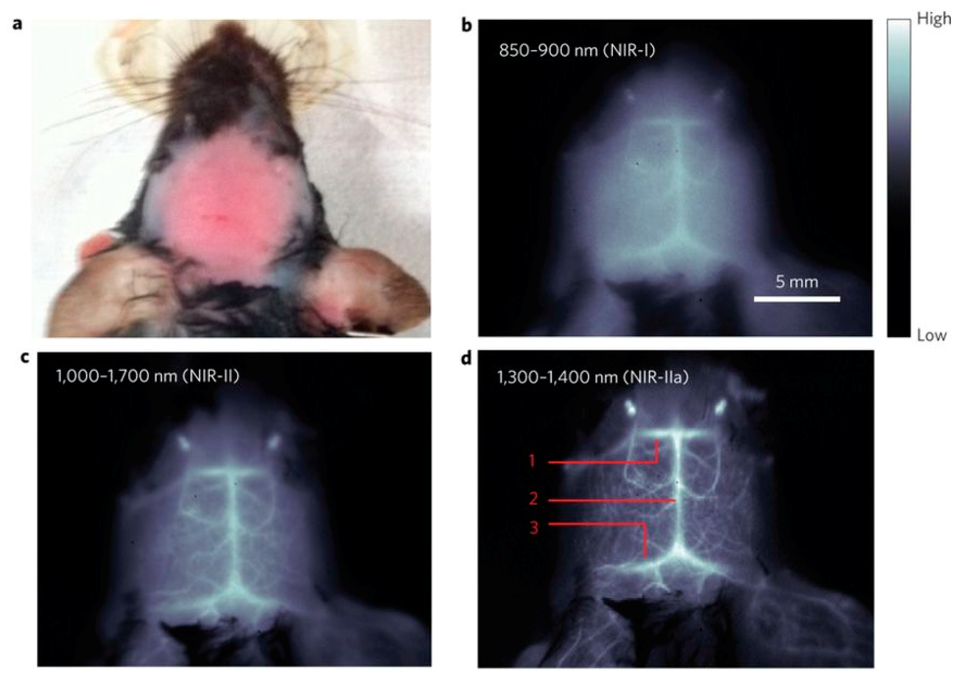Materials 12 00624 g002 Materials 12 00624 g002