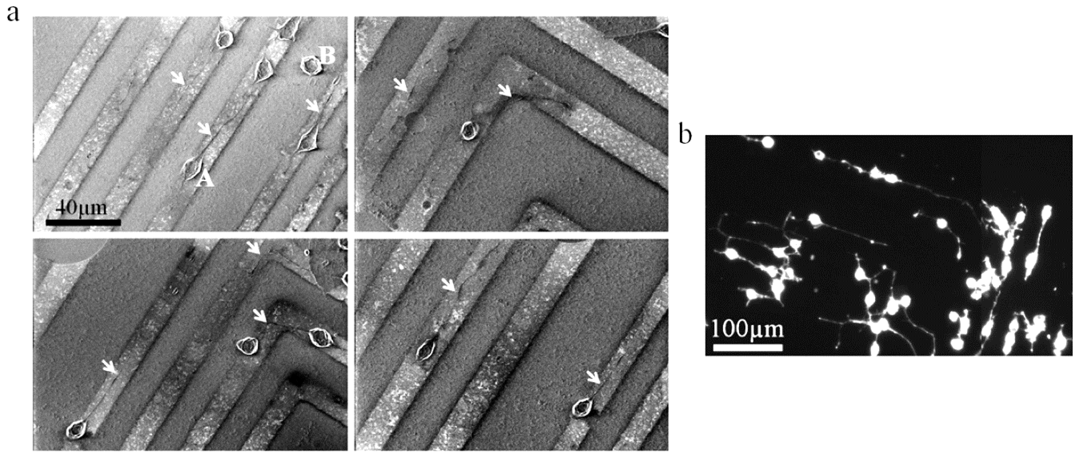 Materials 12 00624 g003 Materials 12 00624 g003