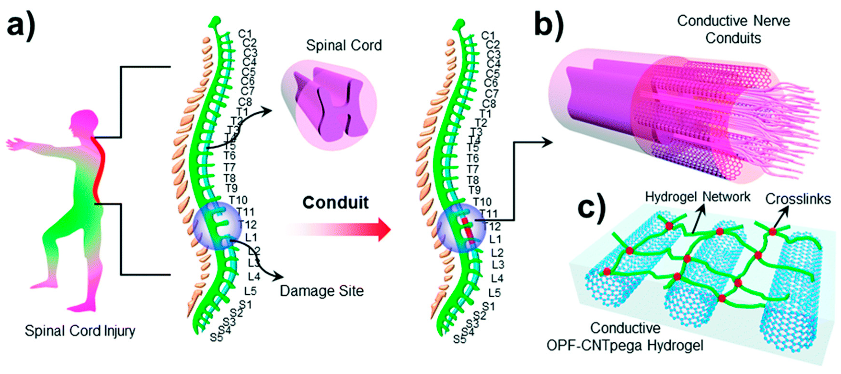 Materials 12 00624 g004 Materials 12 00624 g004
