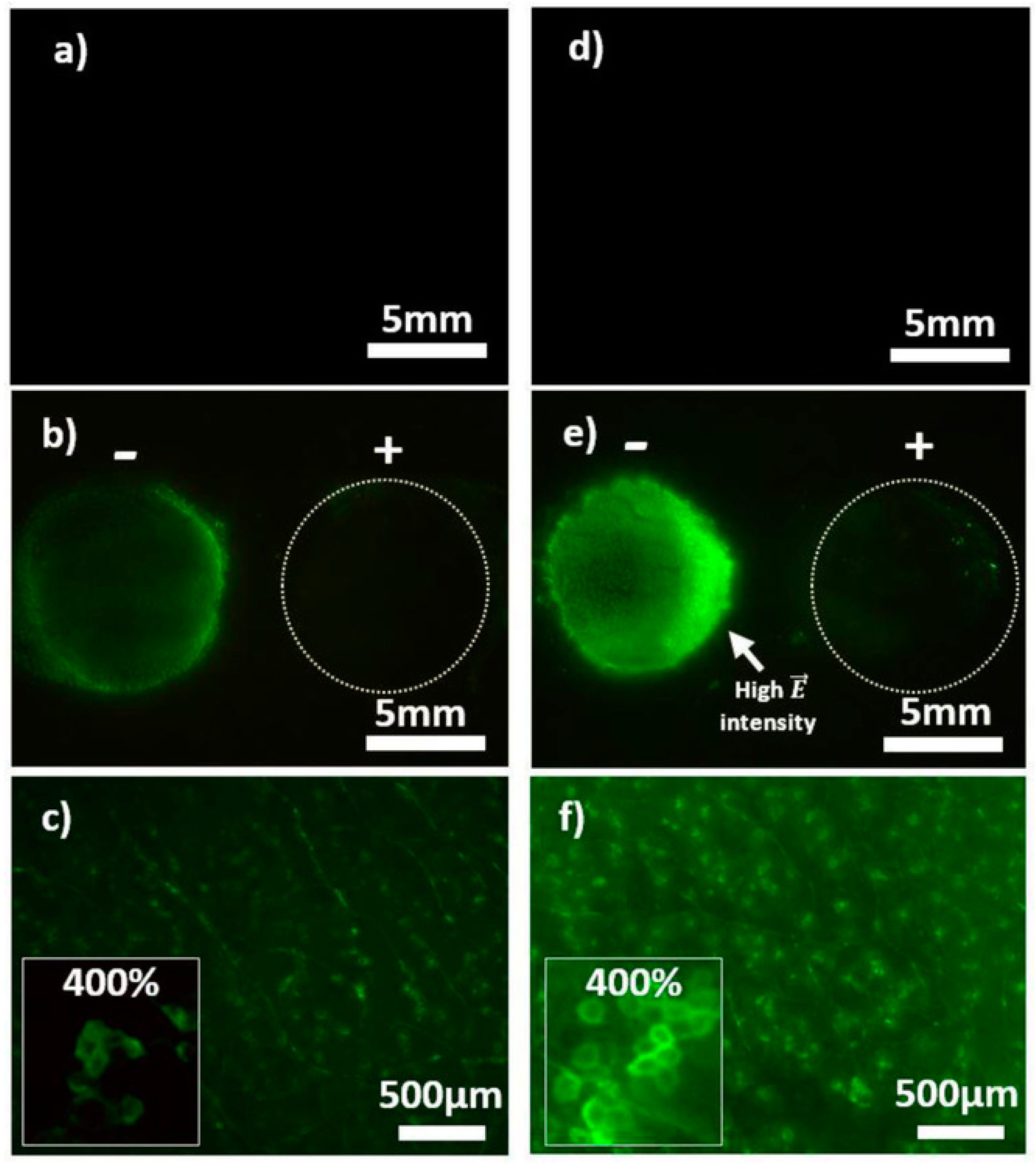 Materials 12 00624 g005 Materials 12 00624 g005