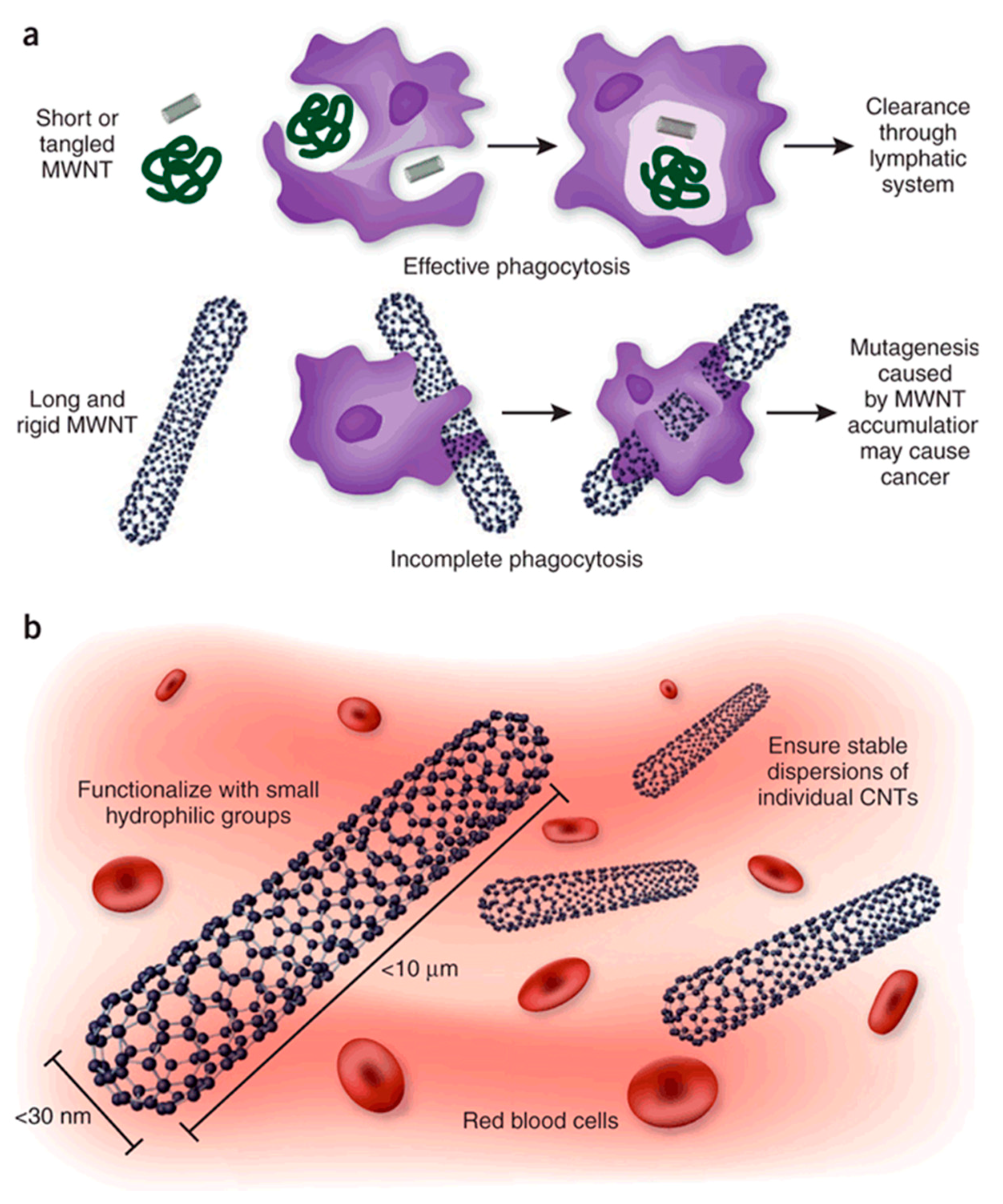 Materials 12 00624 g006 Materials 12 00624 g006
