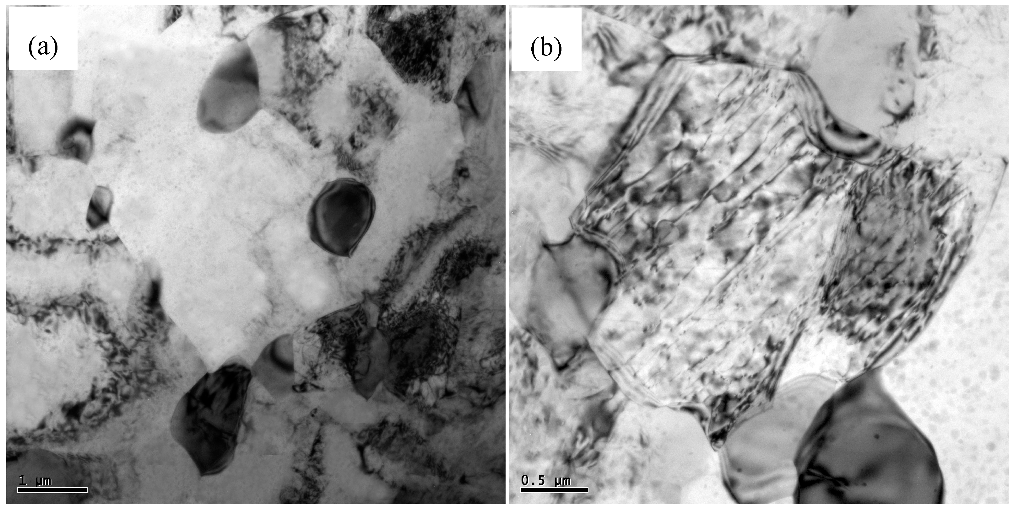 Materials 12 00625 g004 550