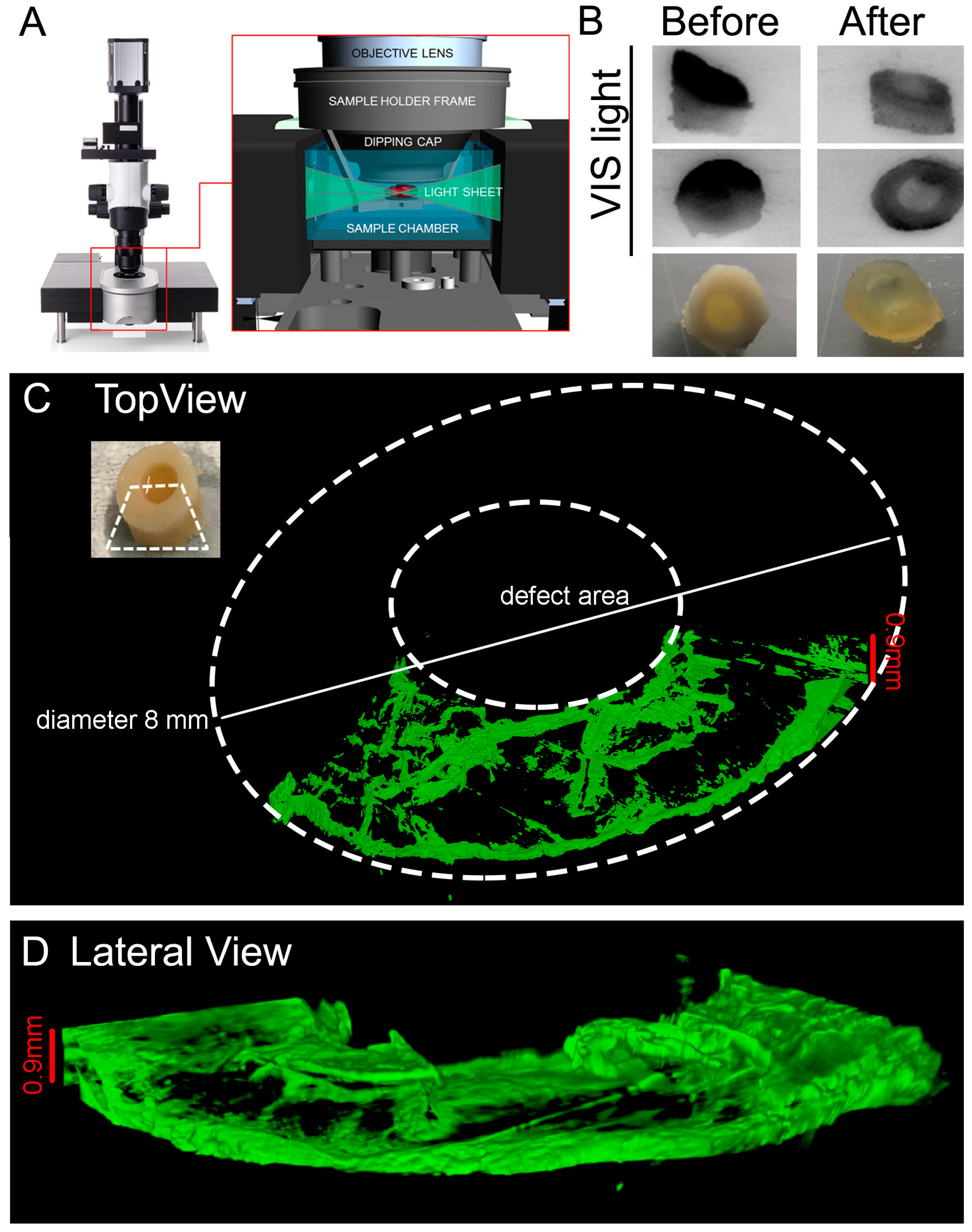 Materials 12 00640 g007