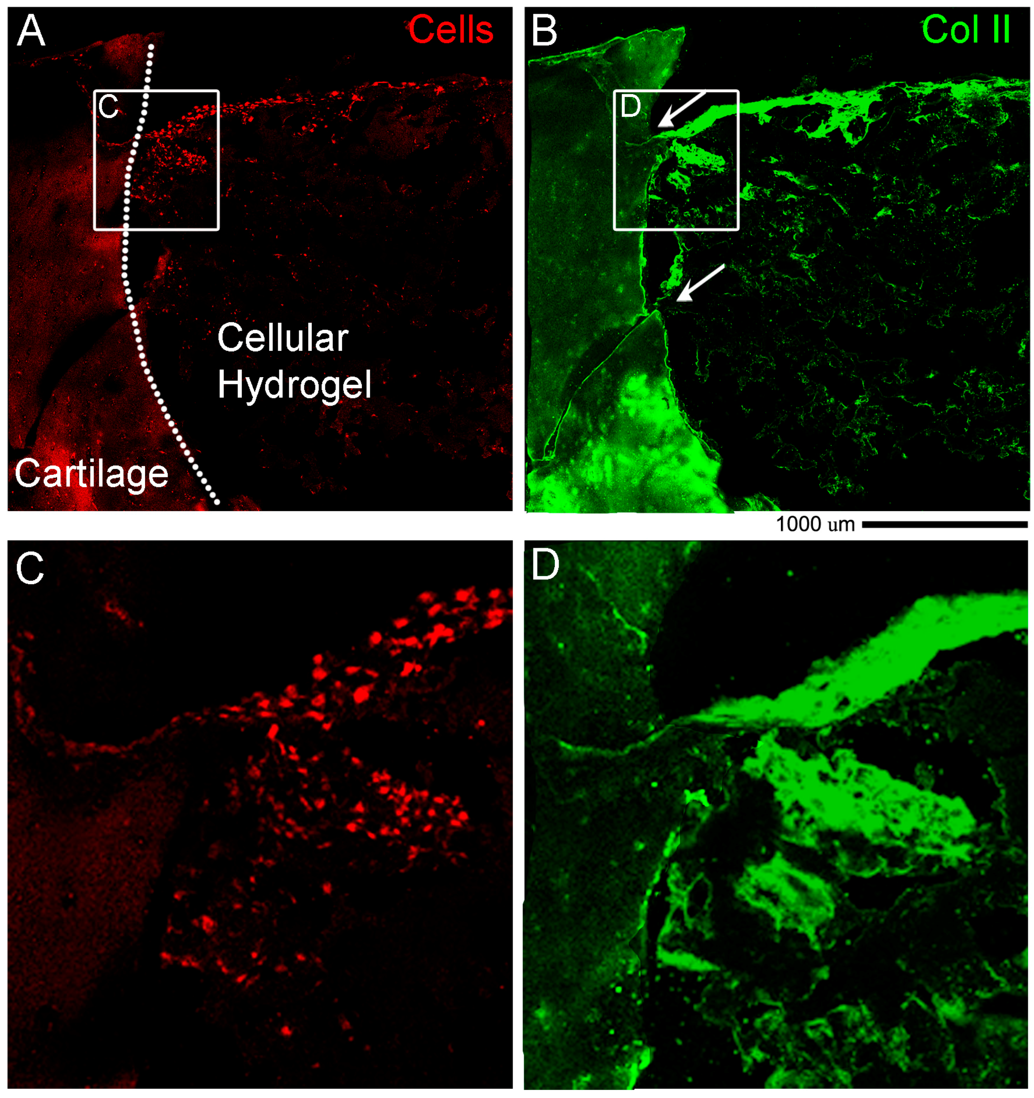Materials 12 00640 g008