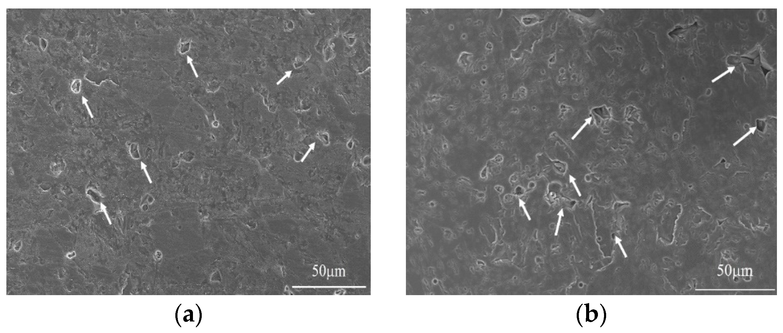 Materials 12 00647 g004a 550