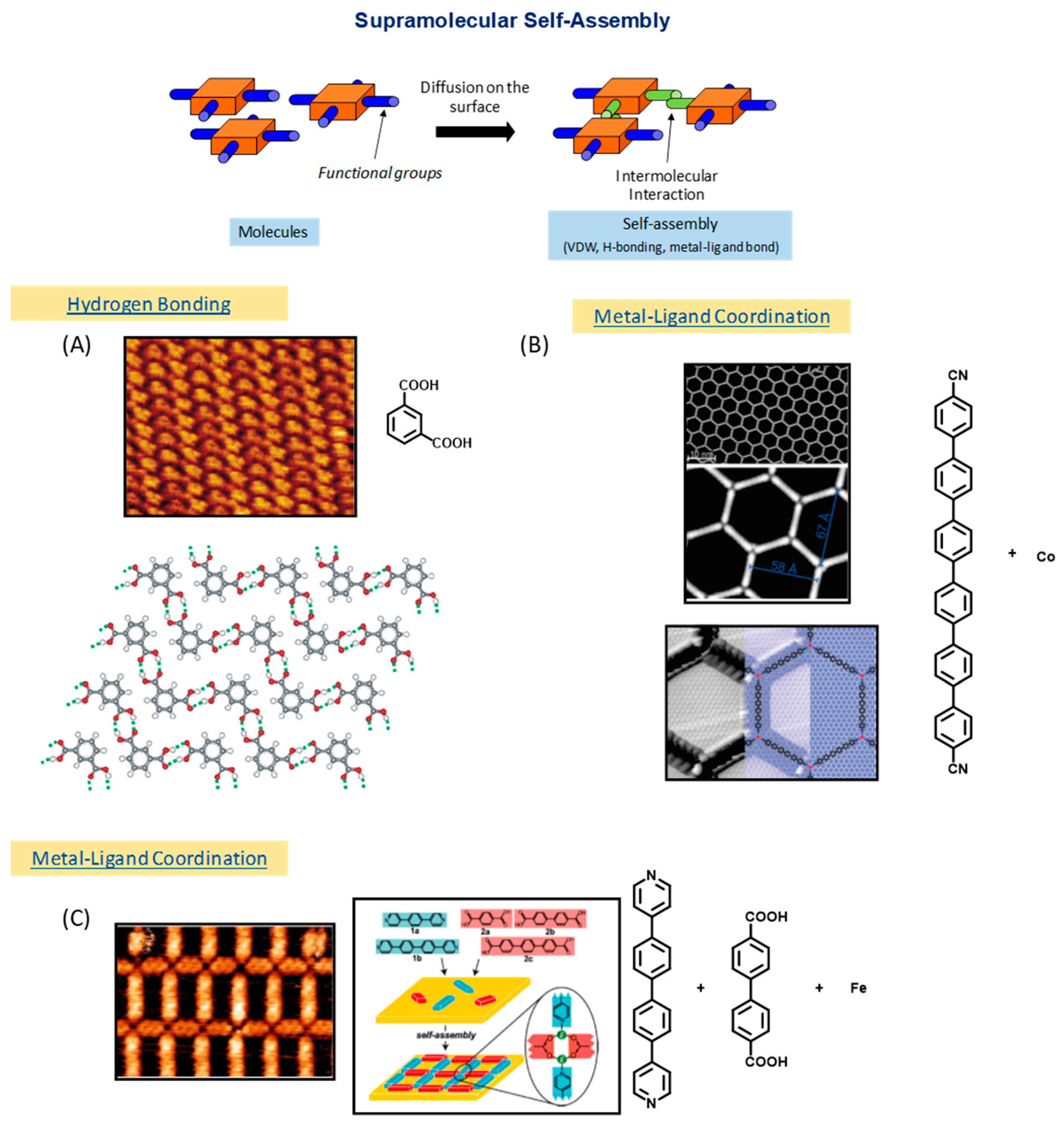 Materials 12 00662 g001