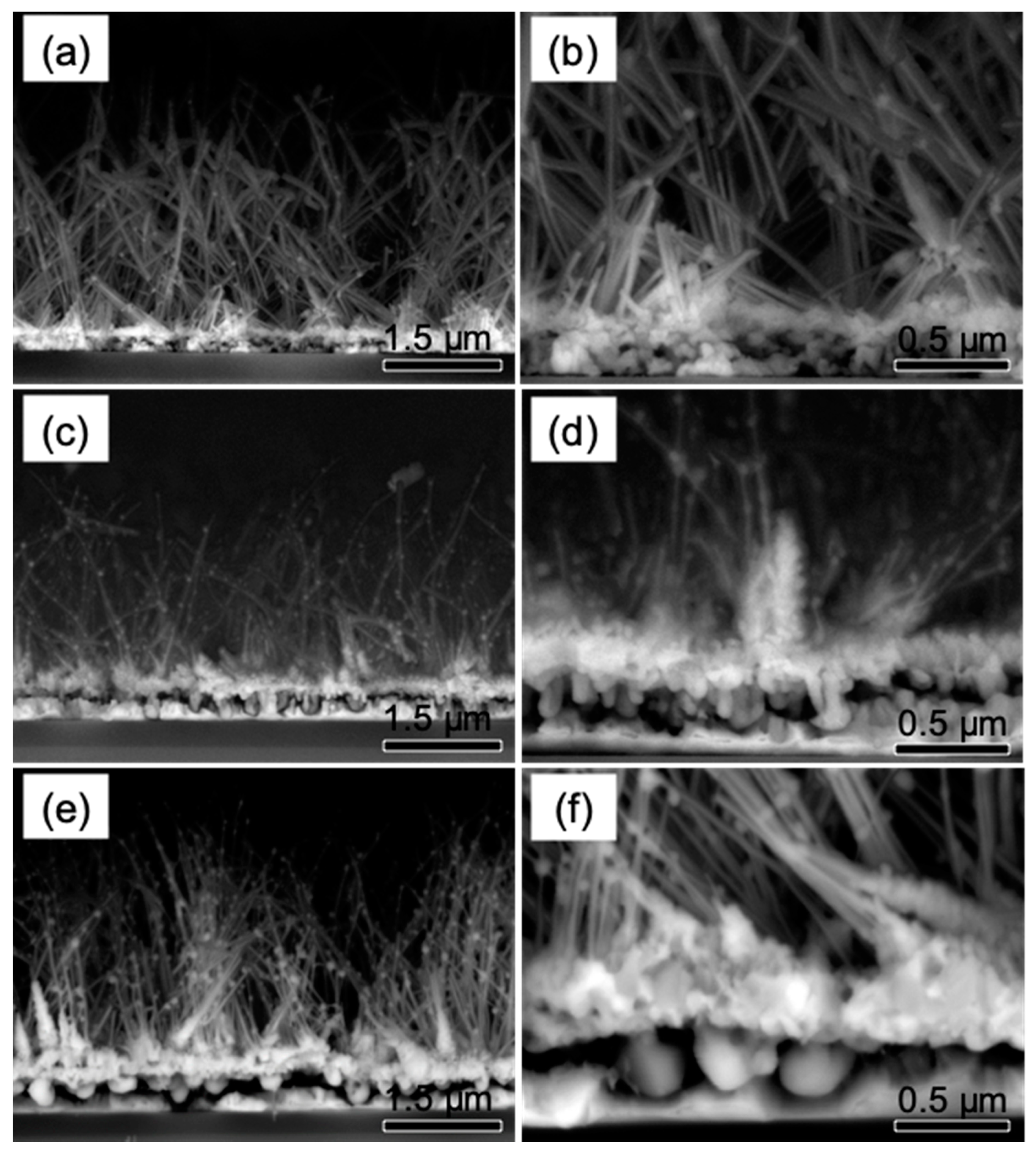 Materials 12 00674 g002 550