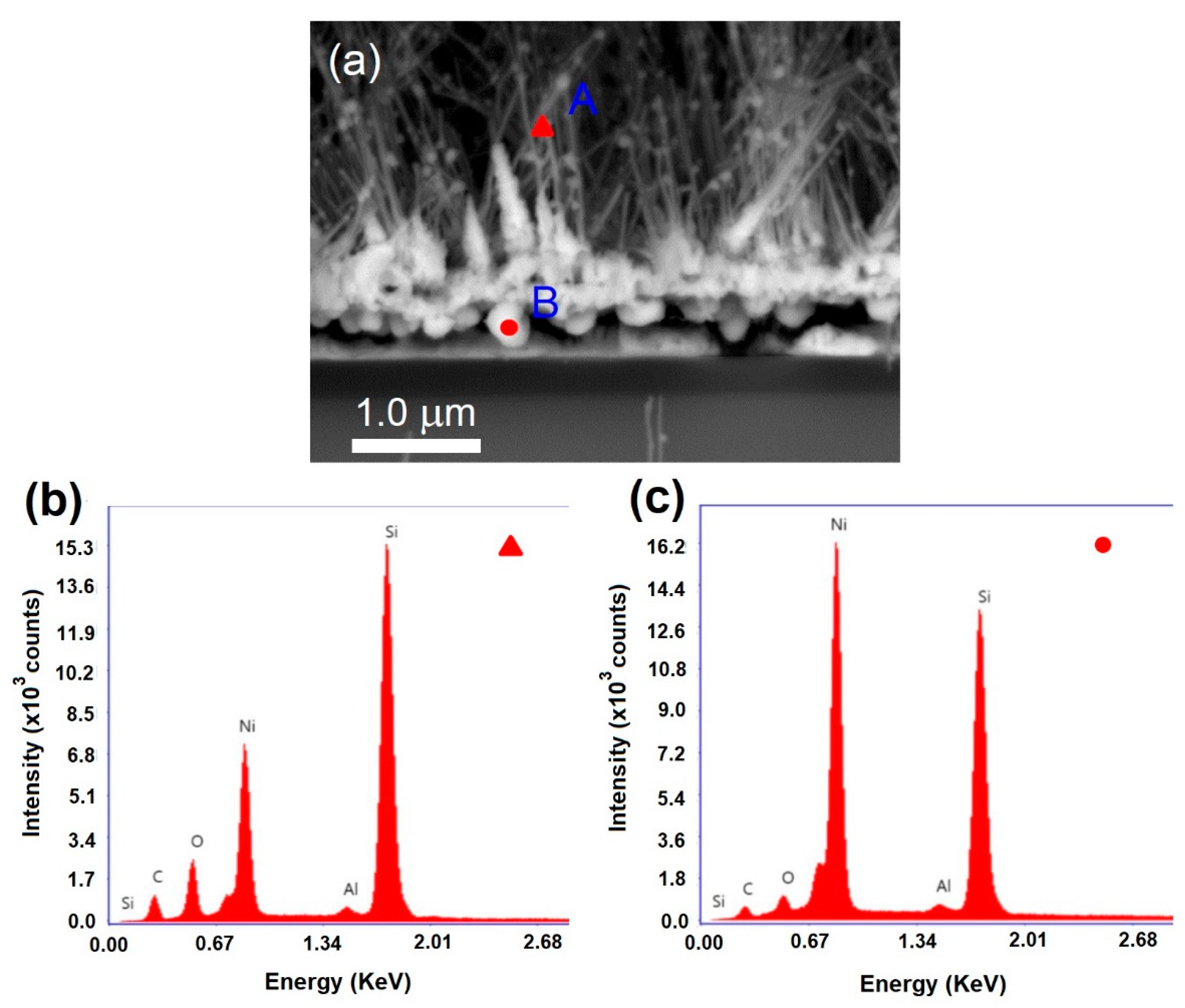 Materials 12 00674 g003 550