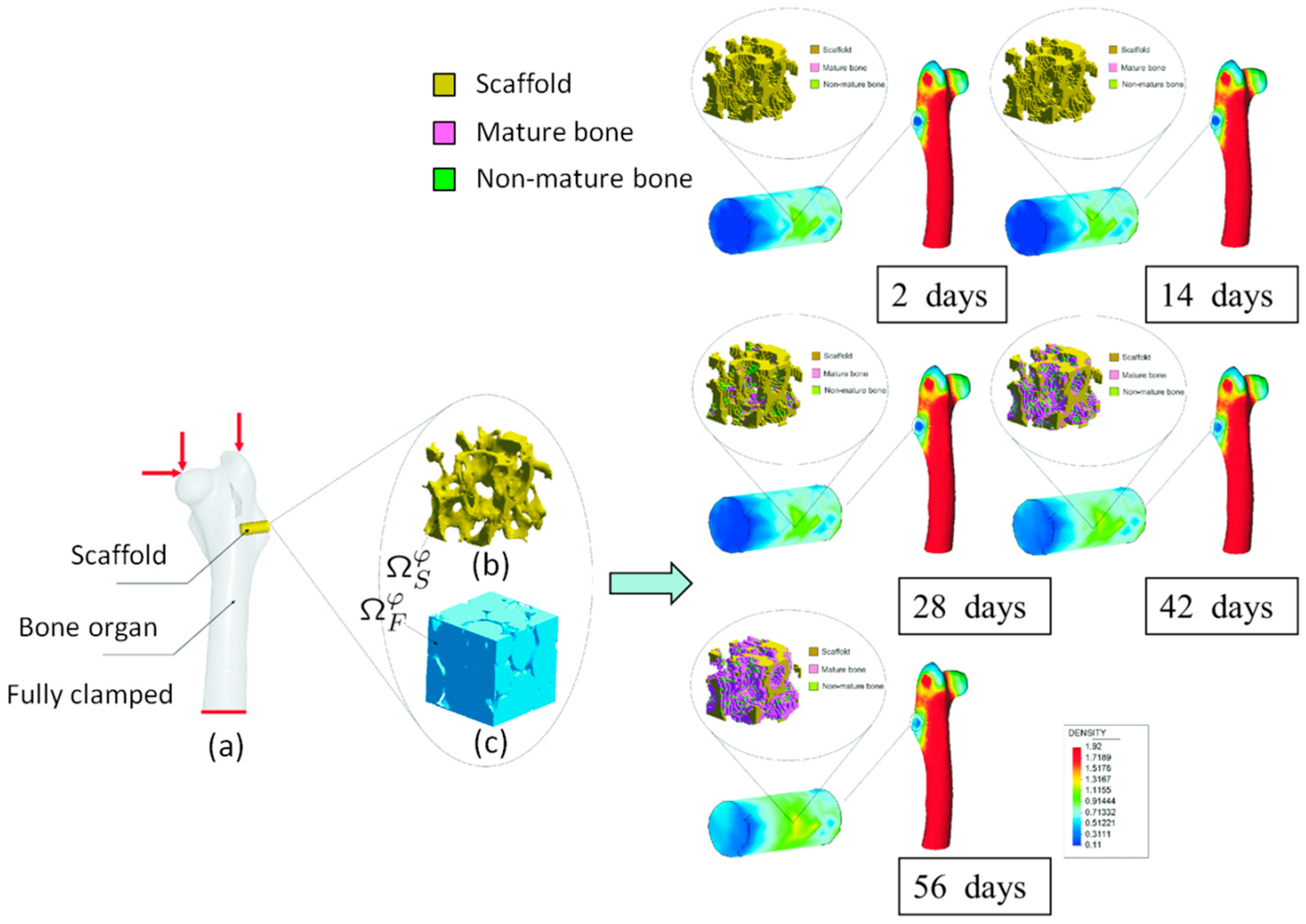 Materials 12 00691 g016 Materials 12 00691 g016