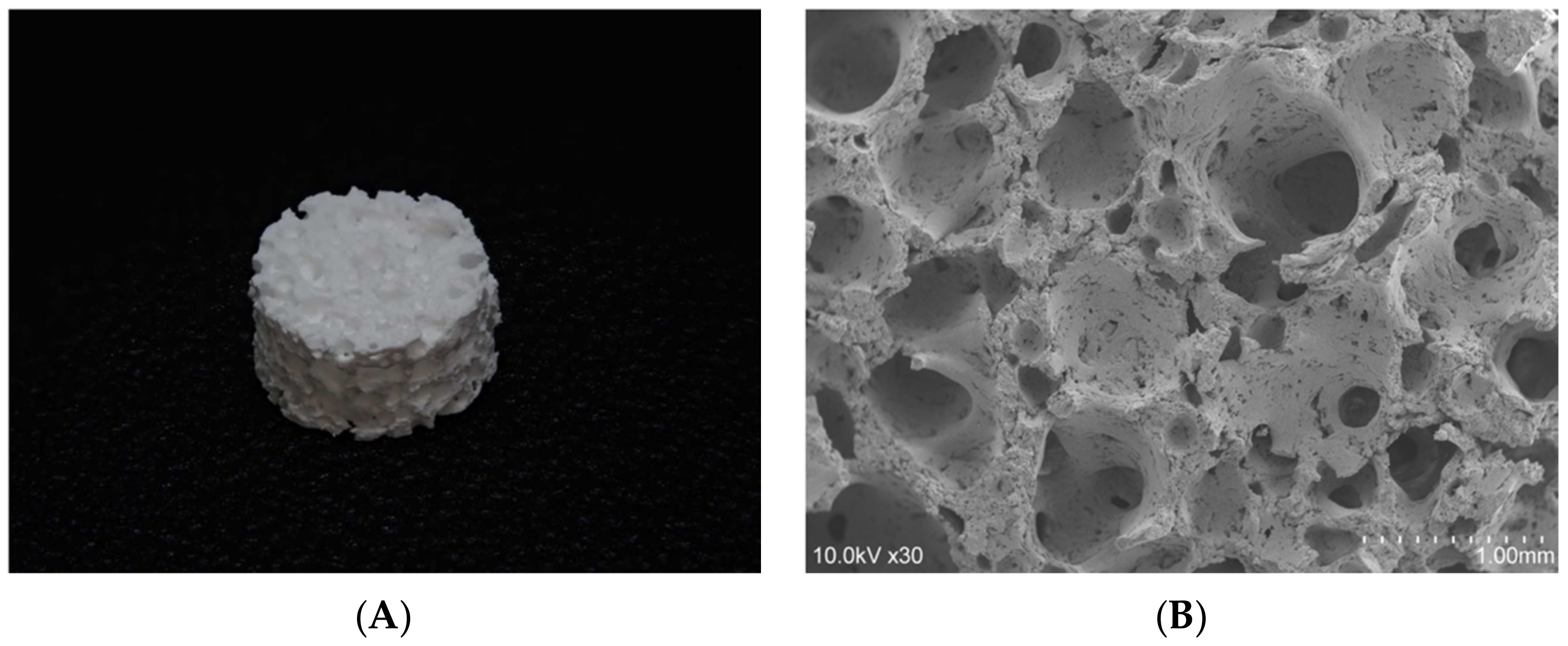 Materials 12 00705 g001