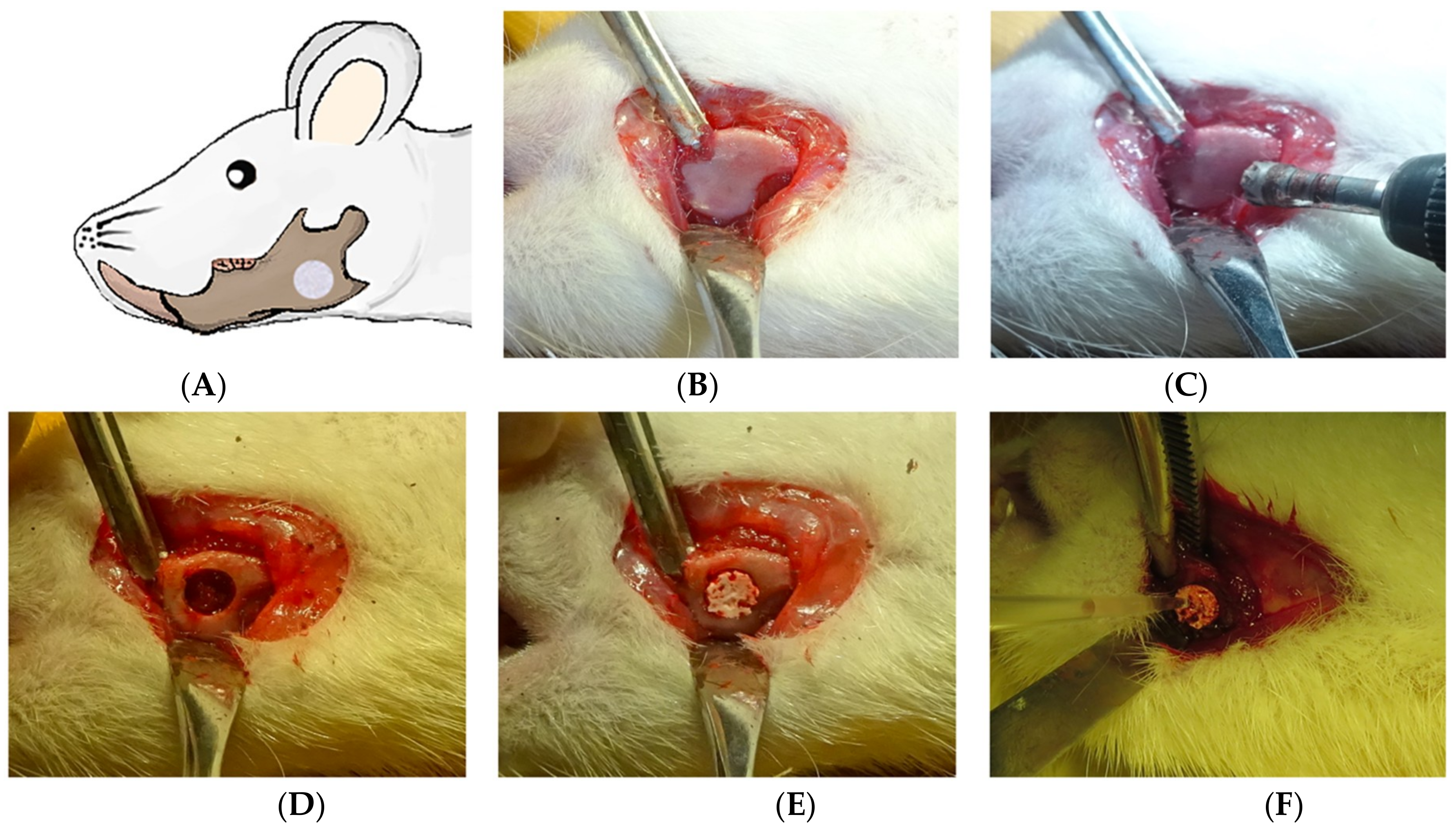 Materials 12 00705 g002