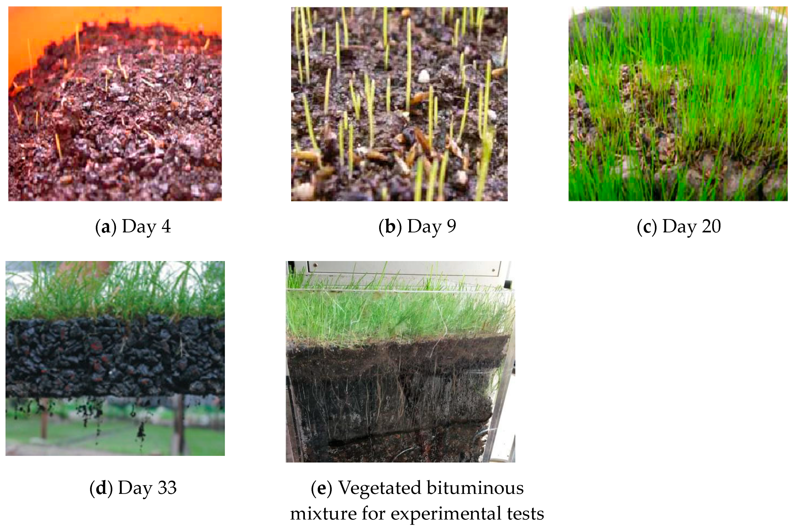 Materials 12 00716 g002 Materials 12 00716 g002