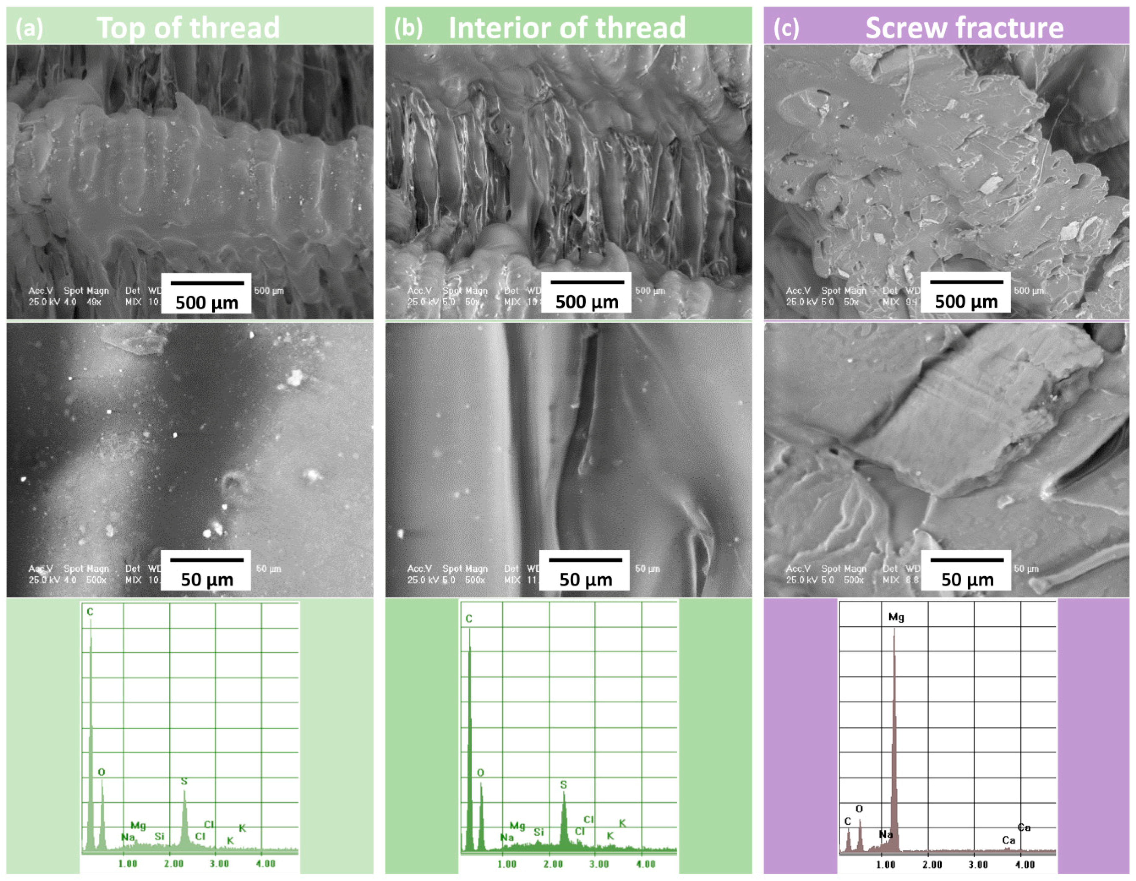 Materials 12 00719 g008