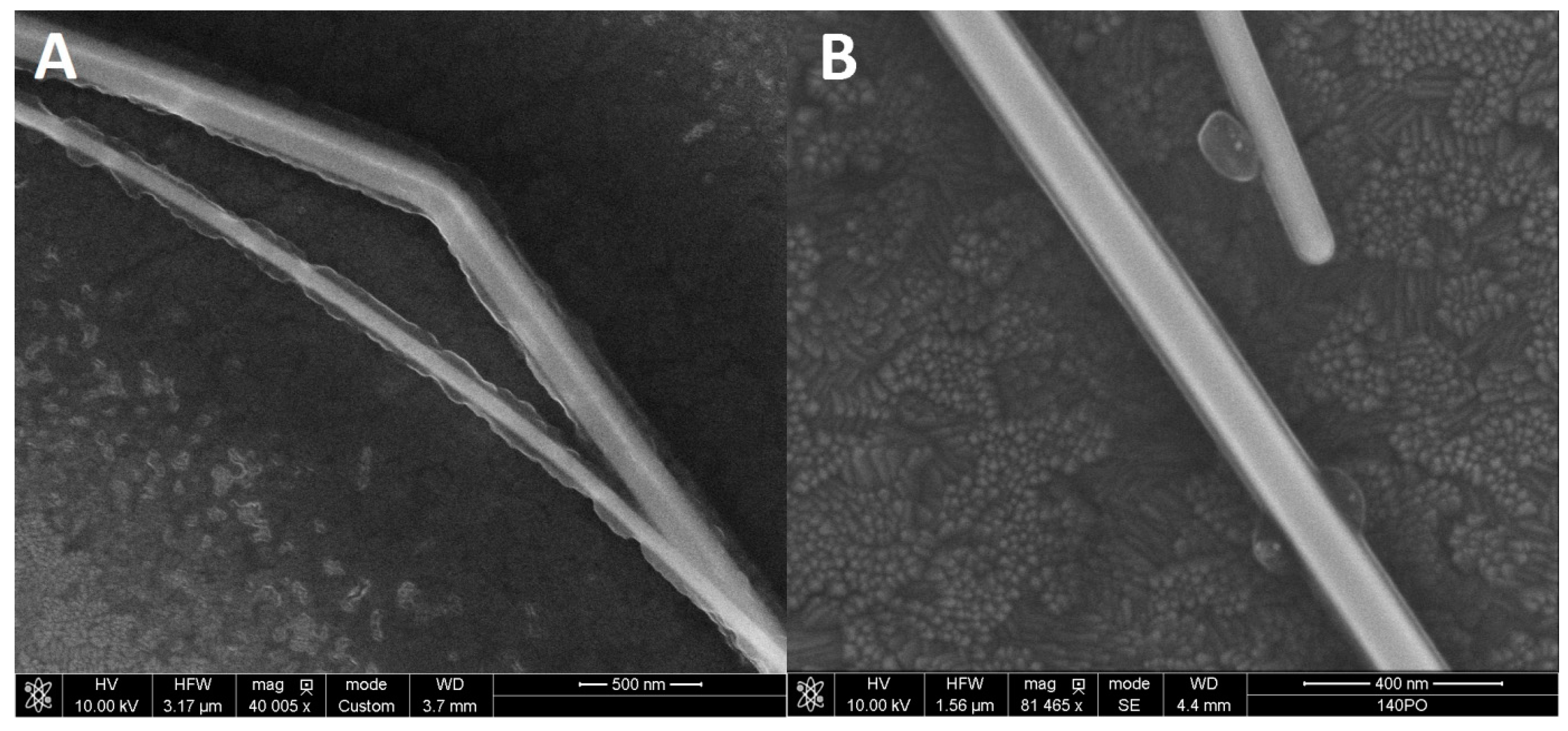 Materials 12 00721 g002