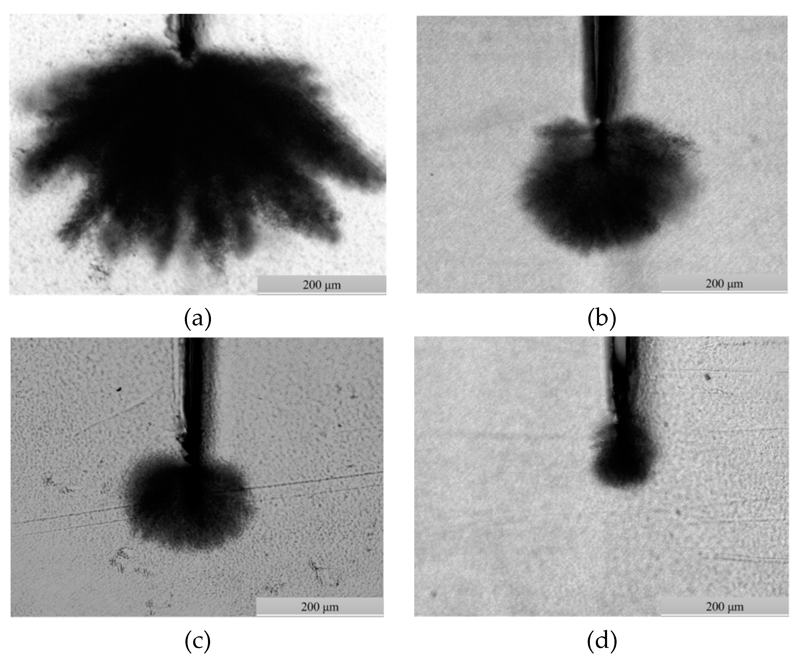 Materials 12 00746 g003 Materials 12 00746 g003