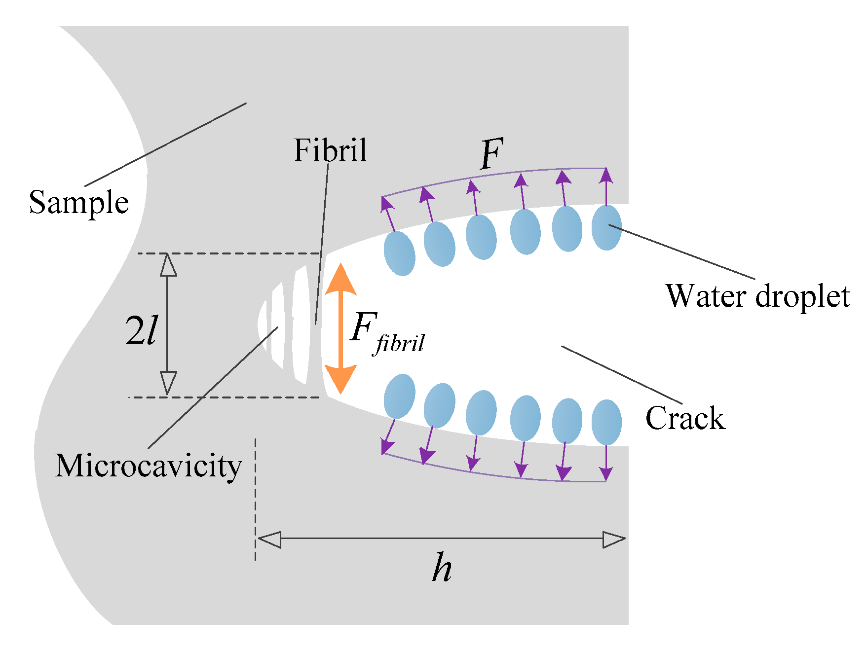 Materials 12 00746 g006 Materials 12 00746 g006