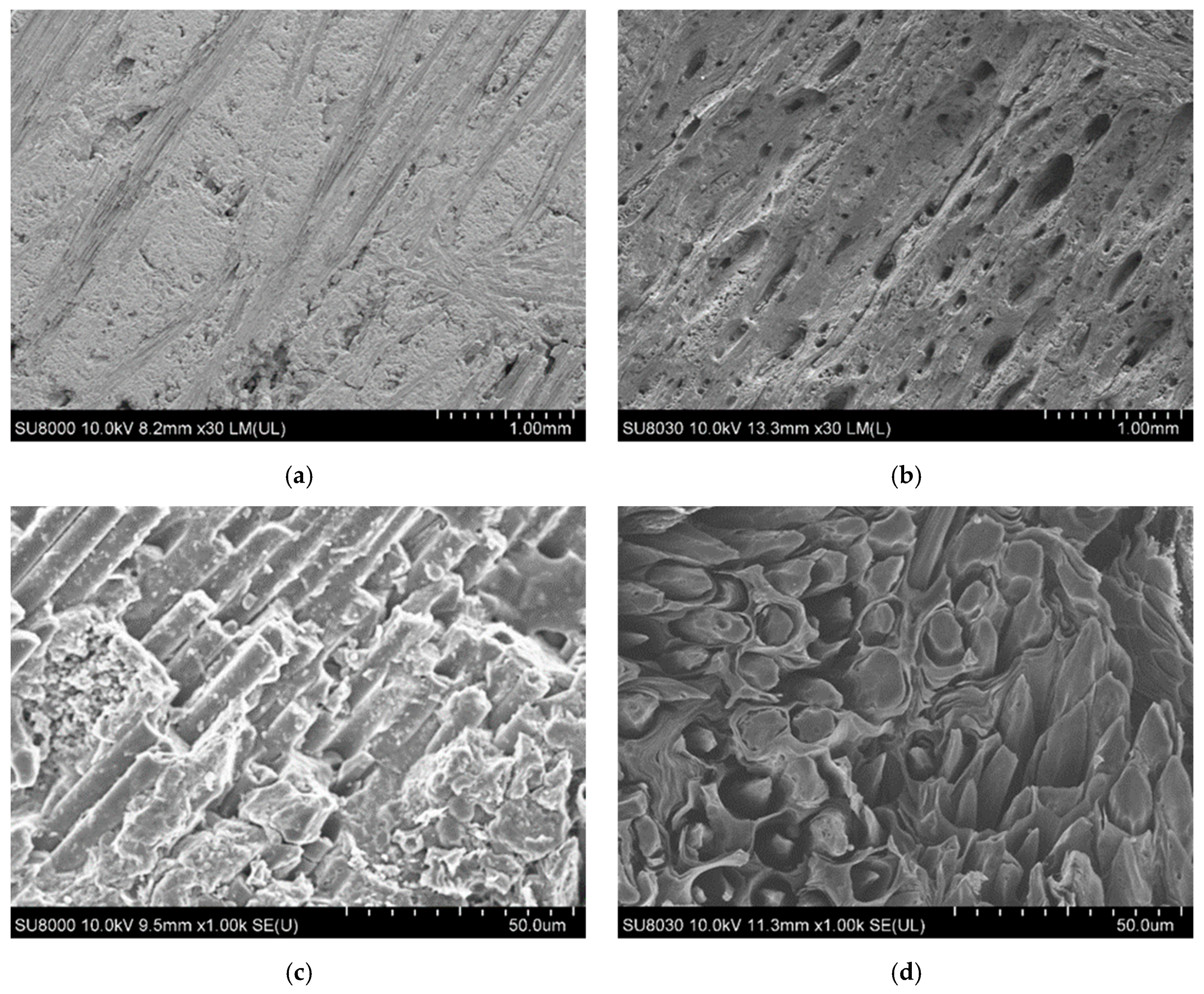 Materials 12 00747 g013