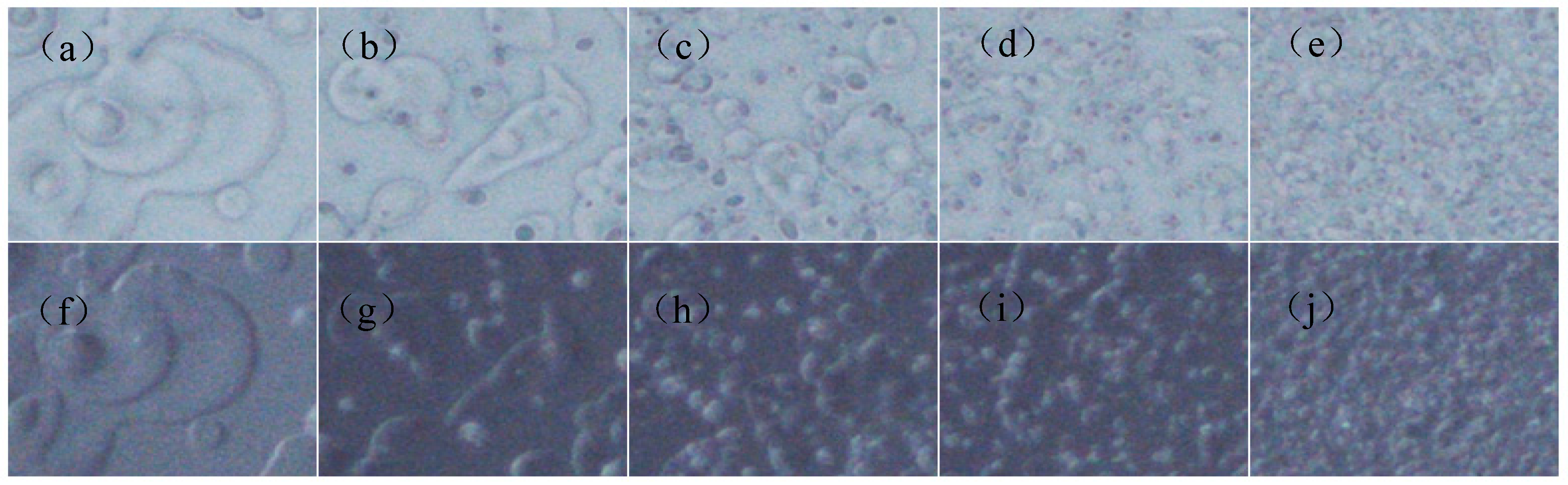 Materials 12 00751 g006 550