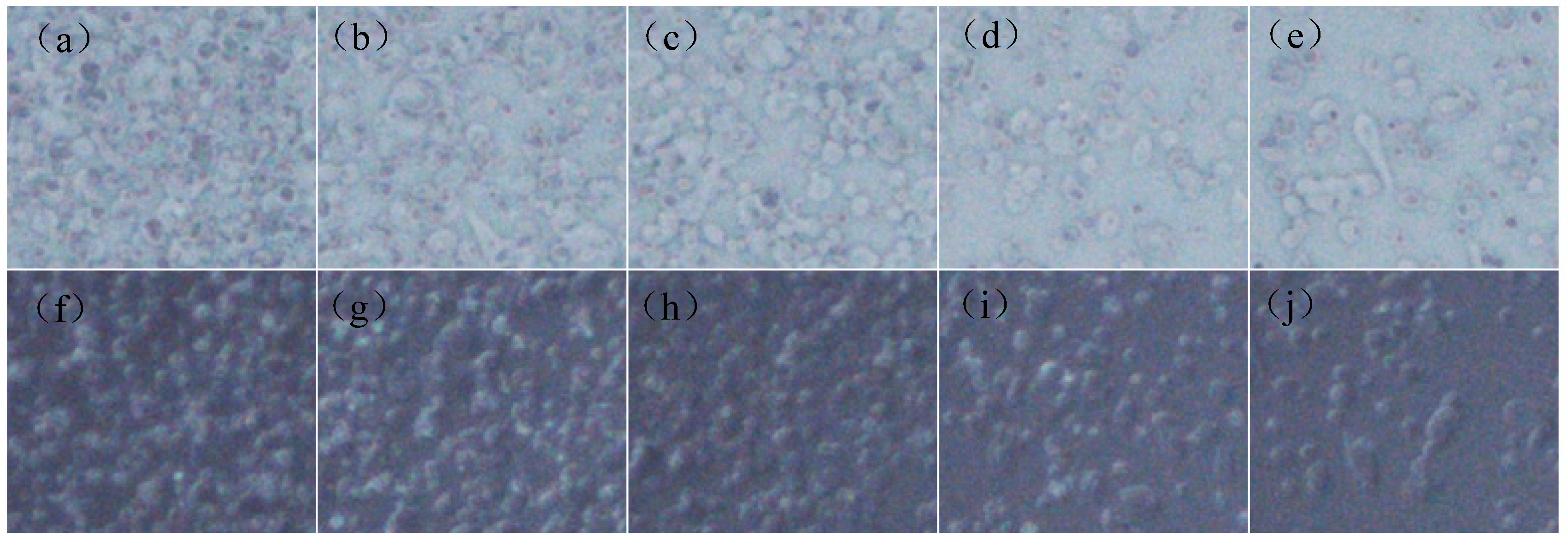 Materials Free Full Text Optimization Of Process Parameters