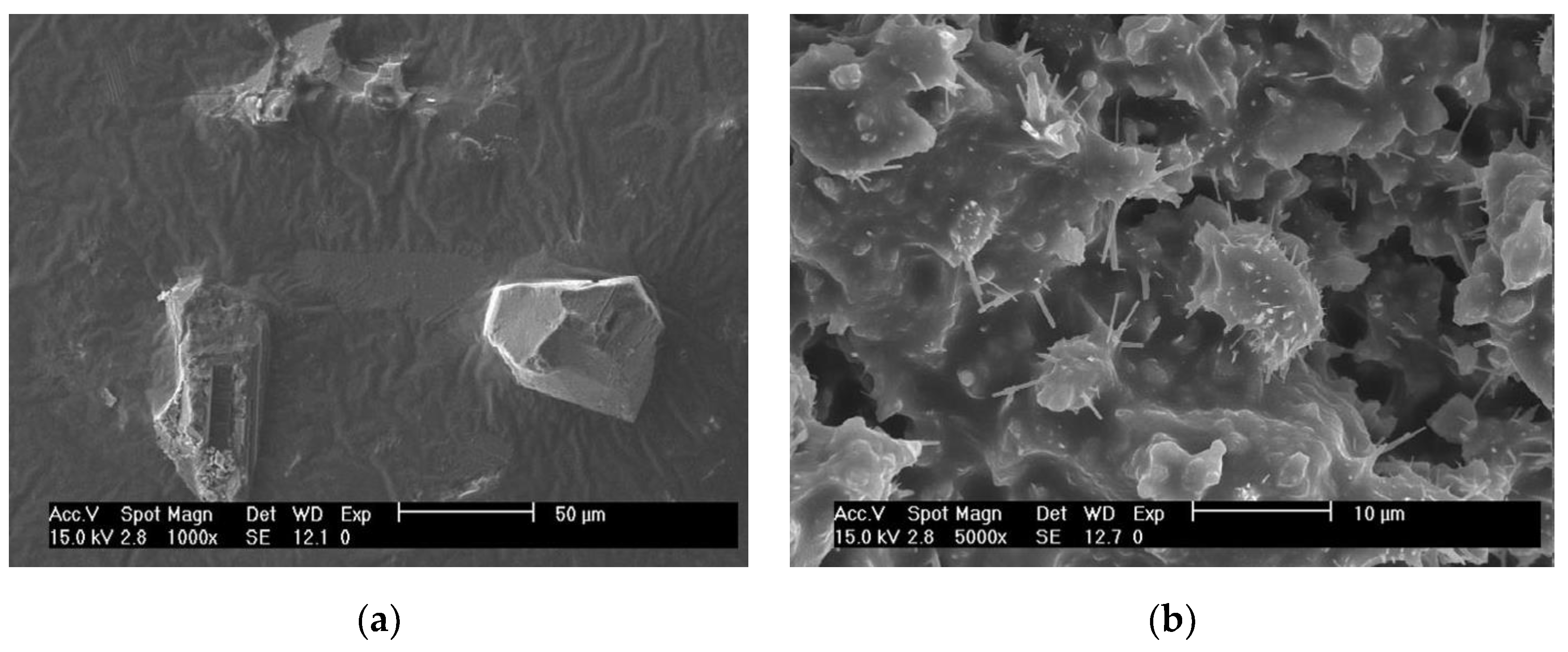 Materials 12 00754 g006