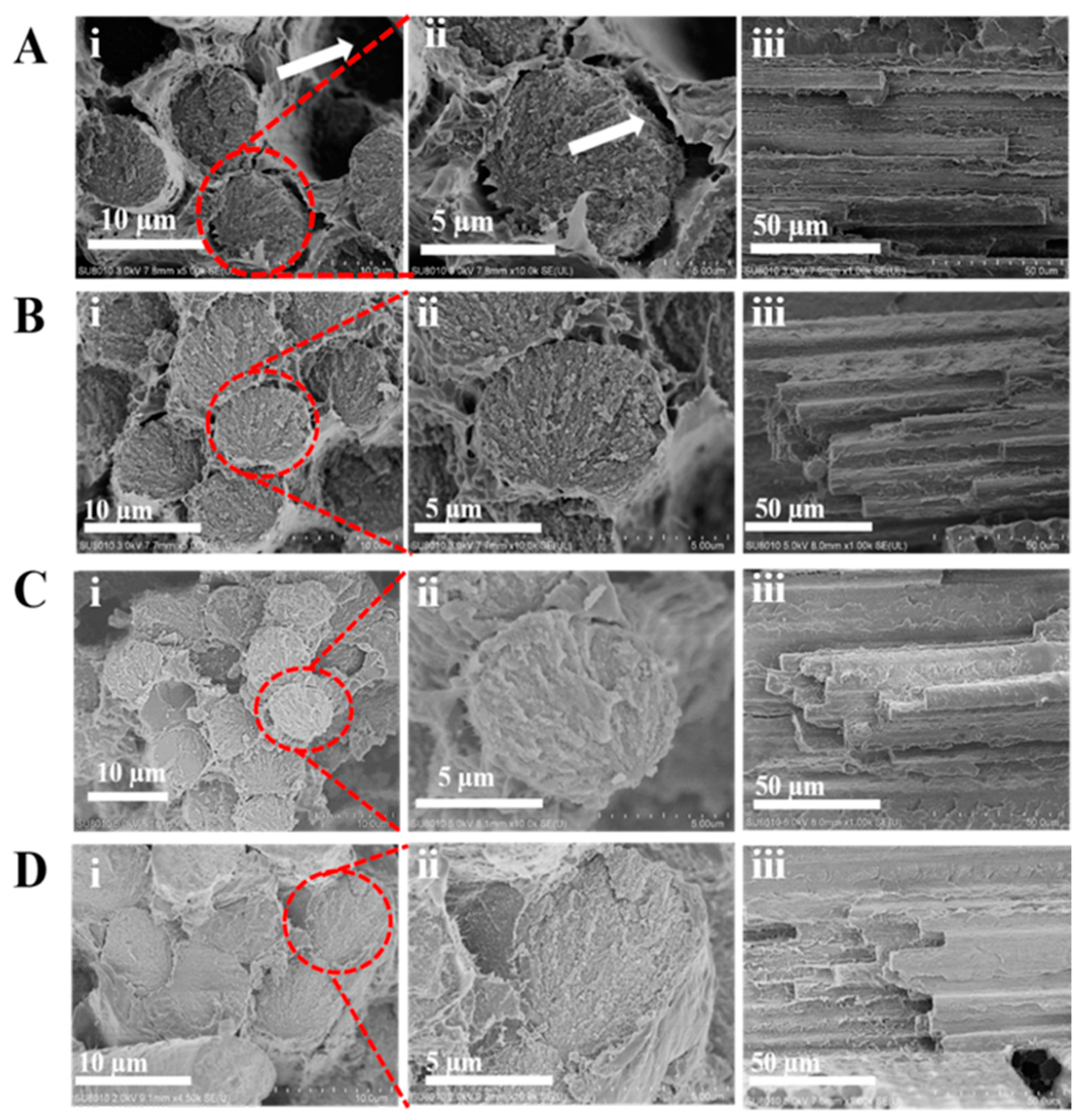 Materials 12 00778 g009