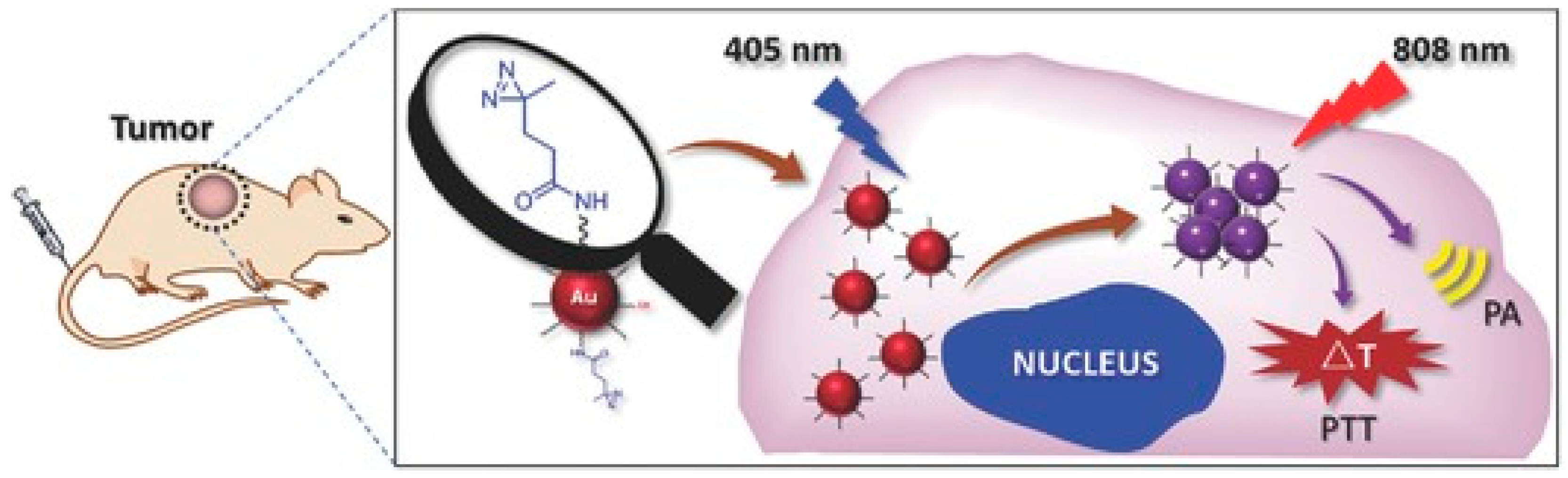 Materials 12 00779 g001 Materials 12 00779 g001