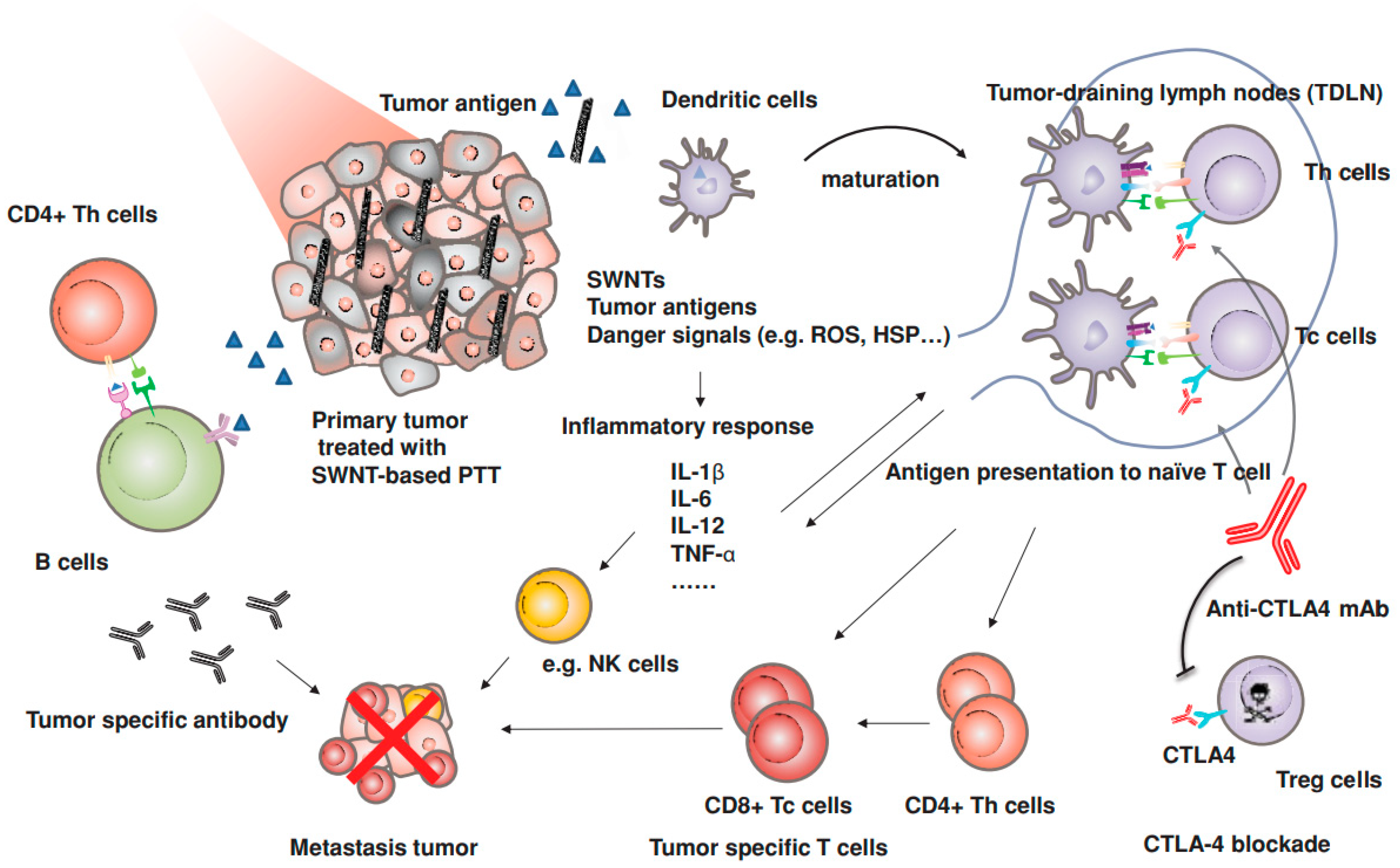 Materials  Free FullText  Nanomaterial Applications in Photothermal