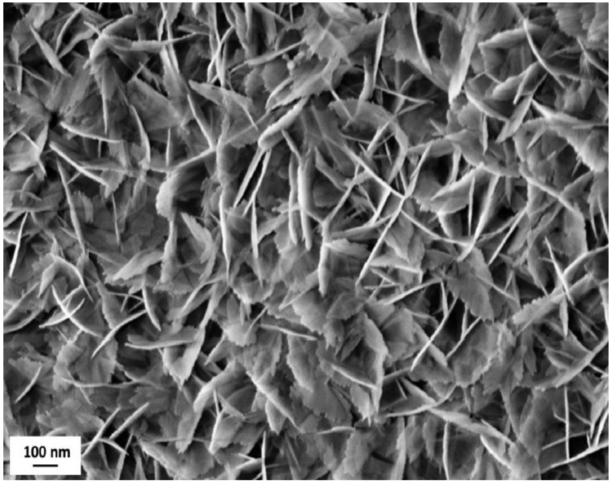 Materials 12 00787 g004