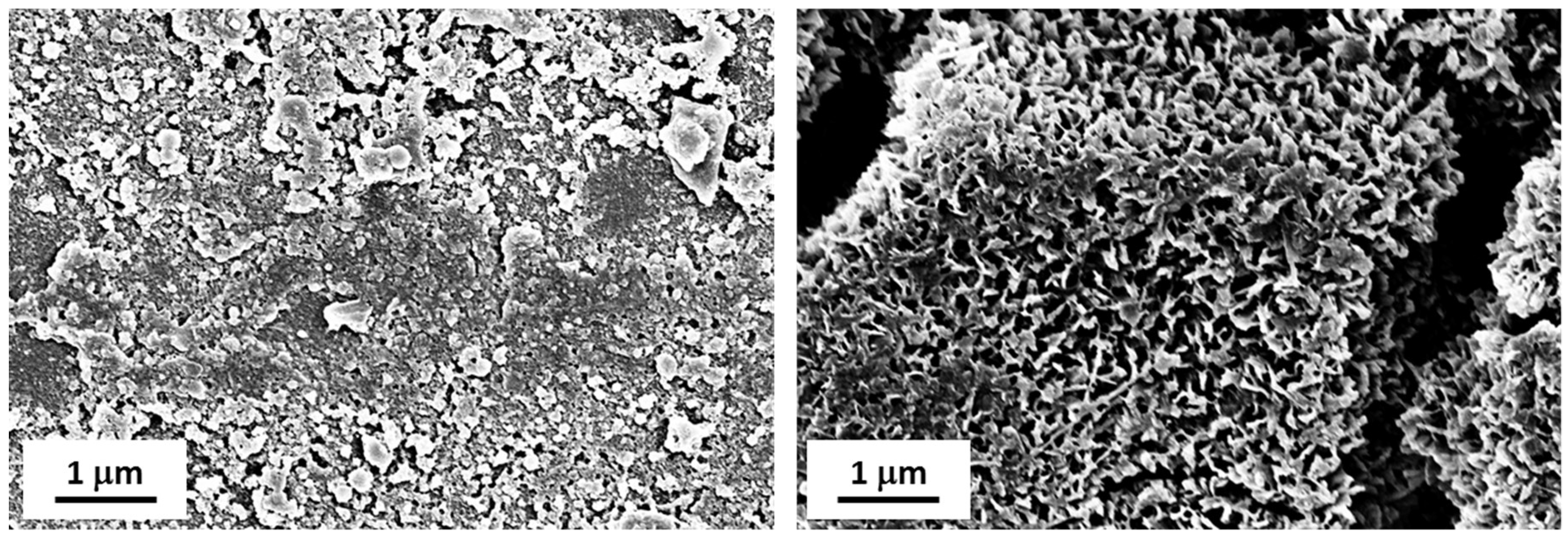 Materials 12 00787 g016