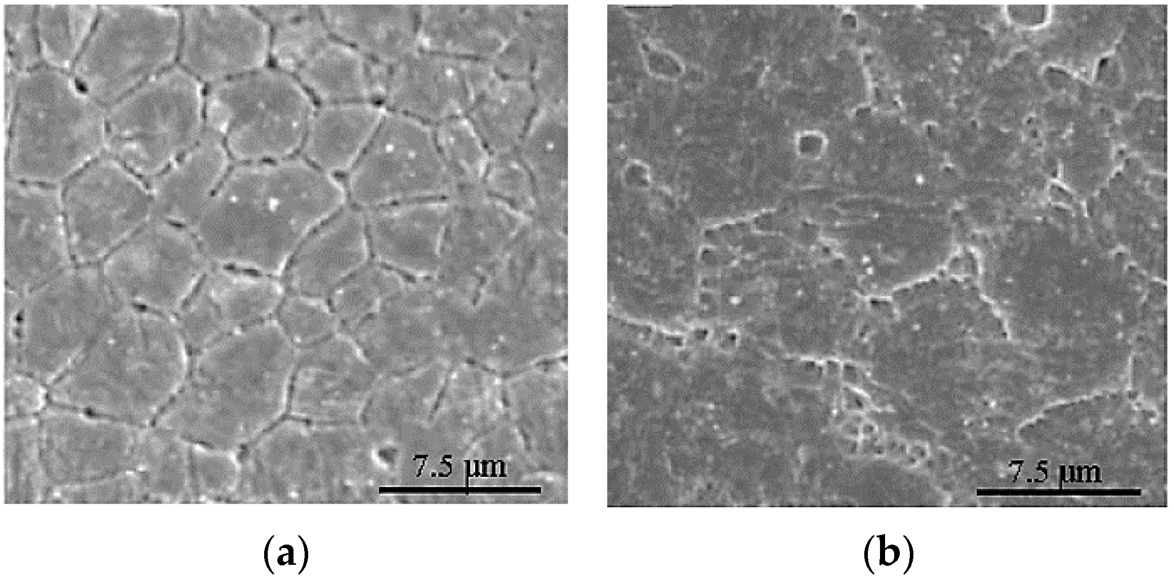 Materials 12 00809 g005