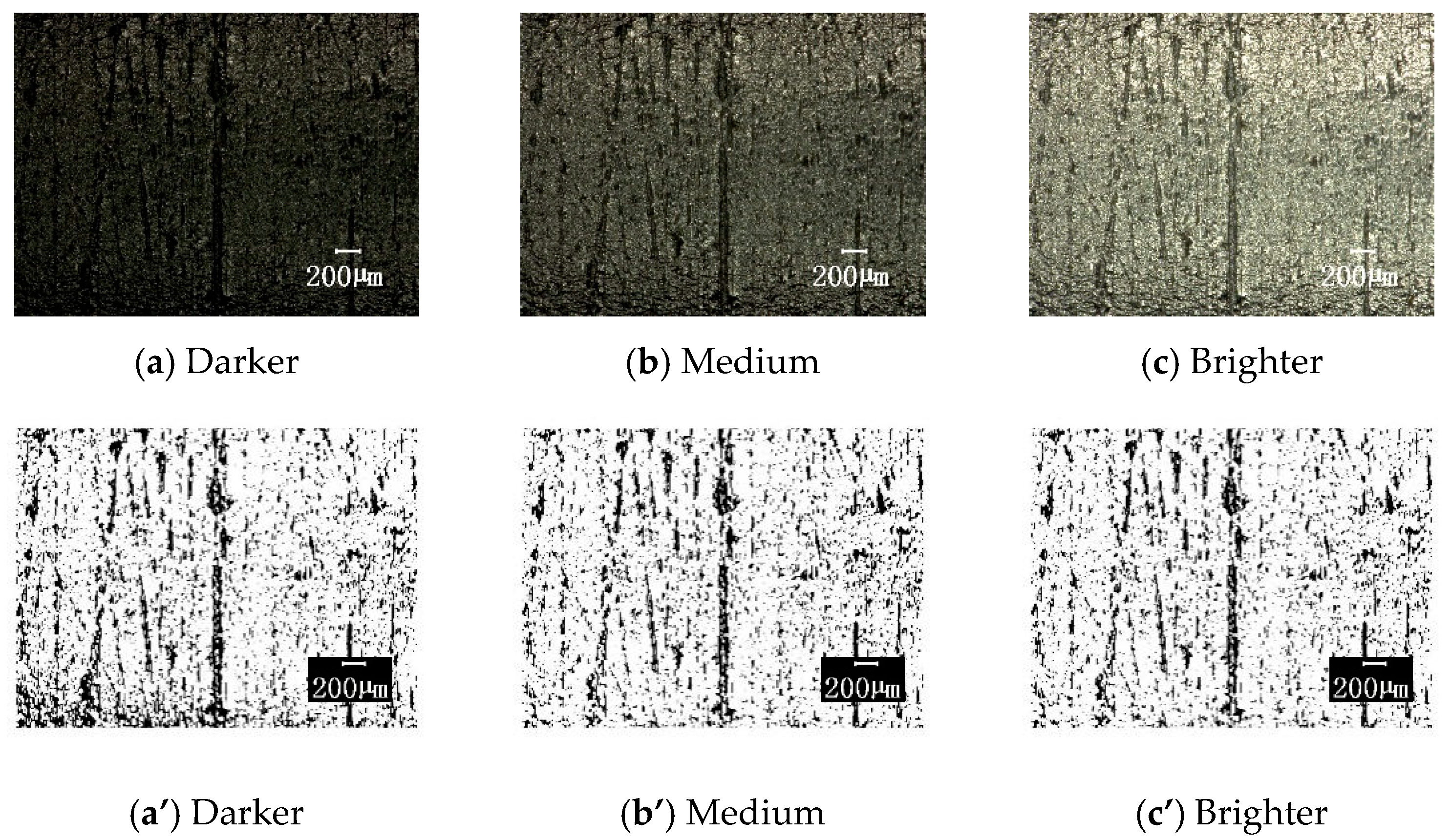 Materials 12 00823 g012