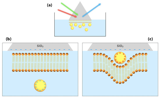 Quantitative Signal Analysis of Sum-Frequency Scattering