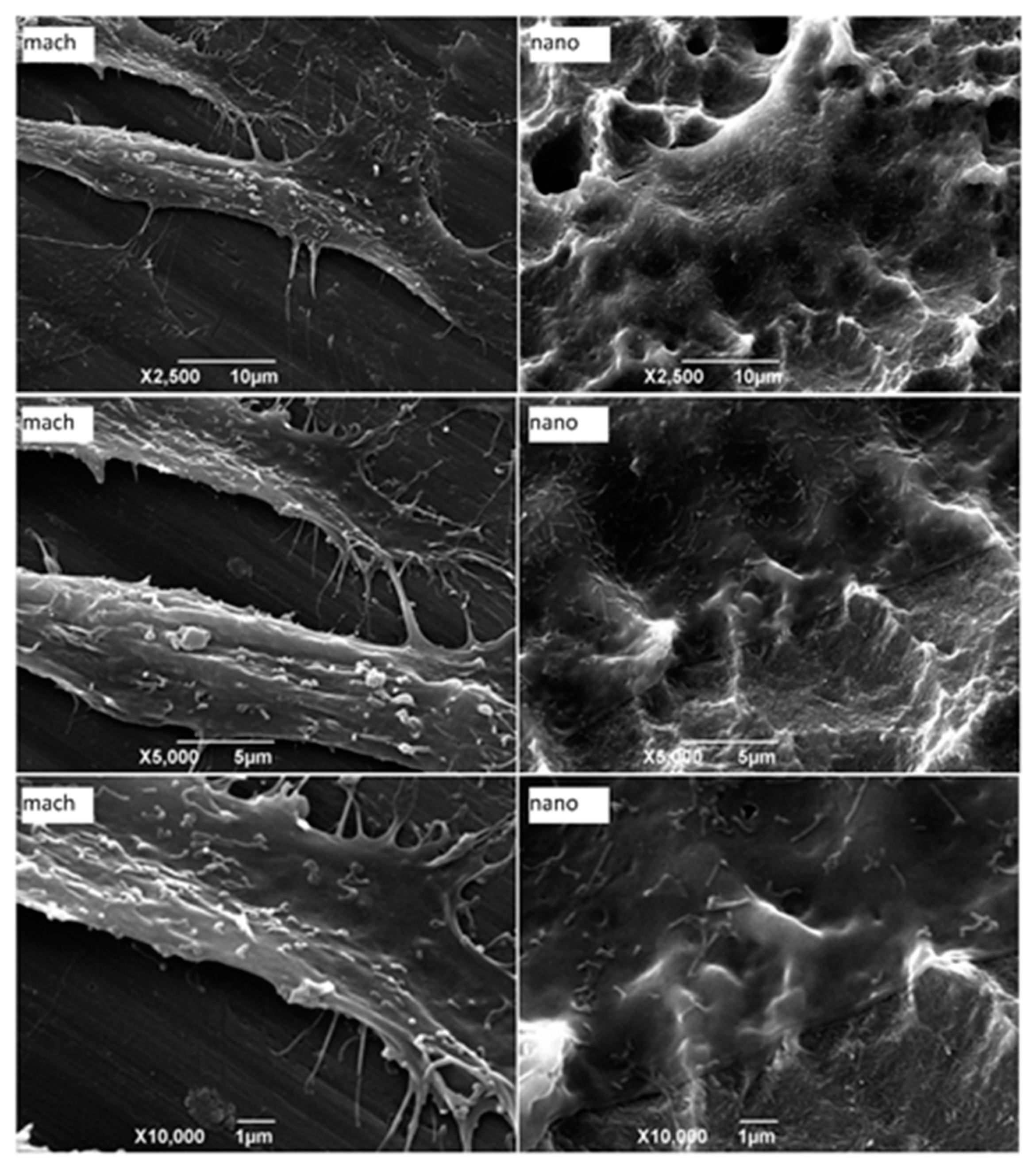 Materials 12 00840 g005 550