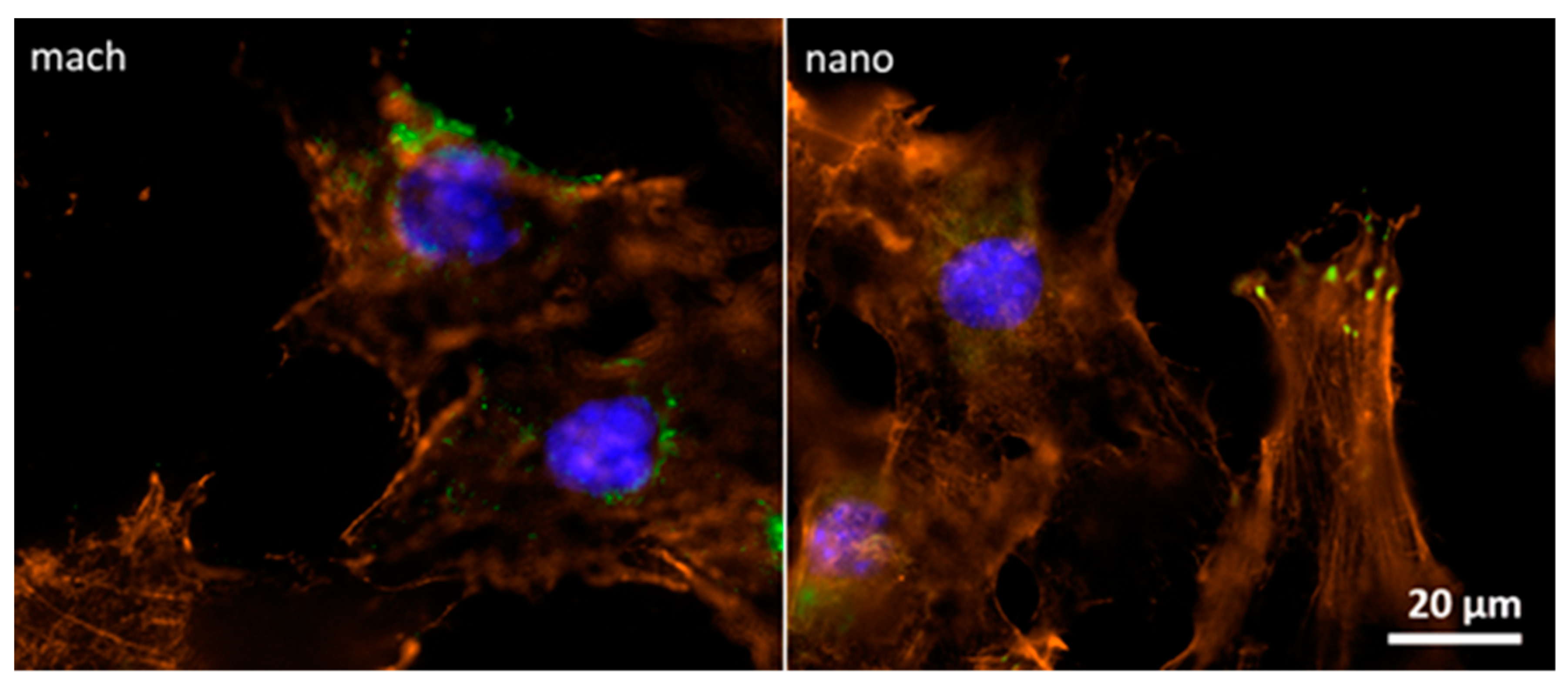 Materials 12 00840 g006 550