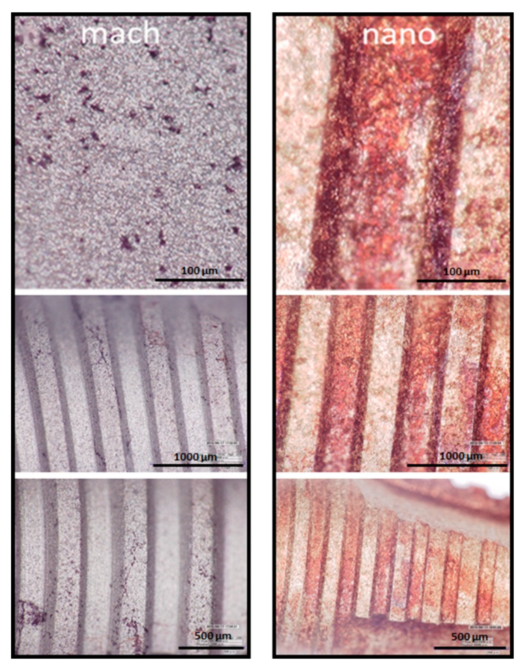 Materials 12 00840 g007 550