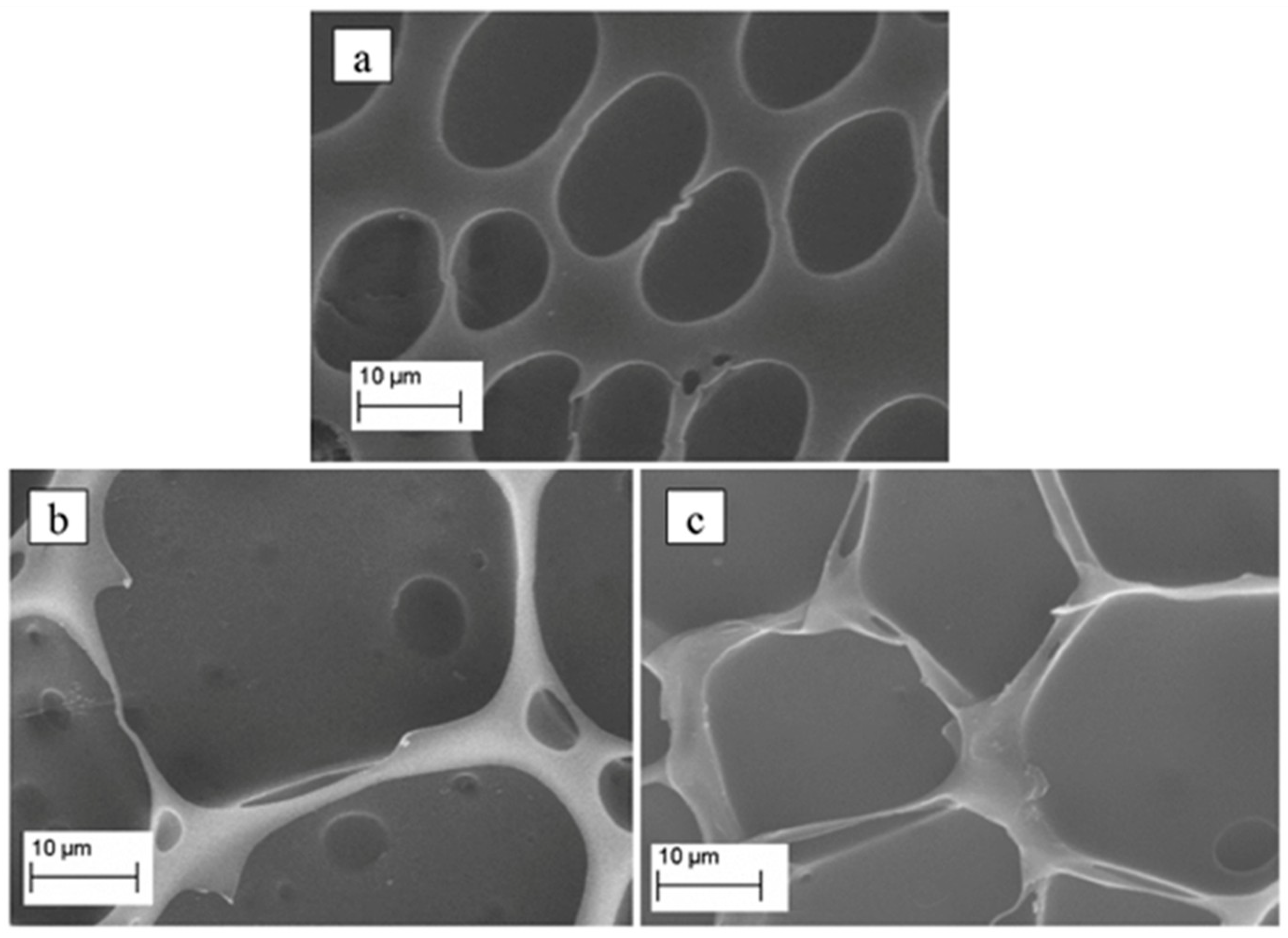 Materials 12 00849 g001 Materials 12 00849 g001