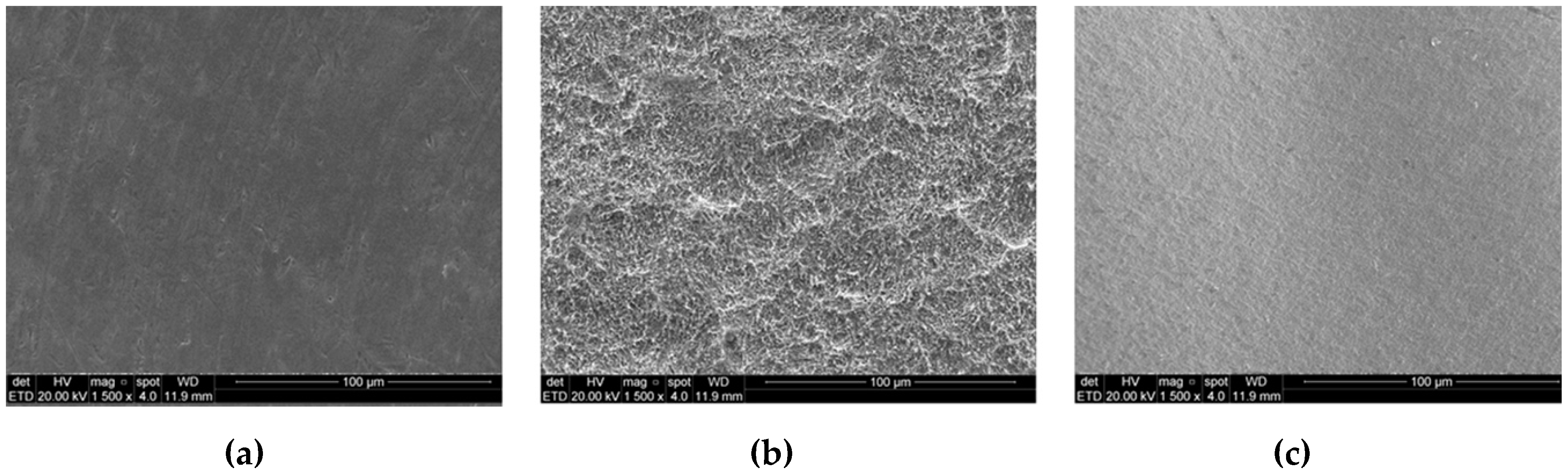 Materials 12 00856 g001