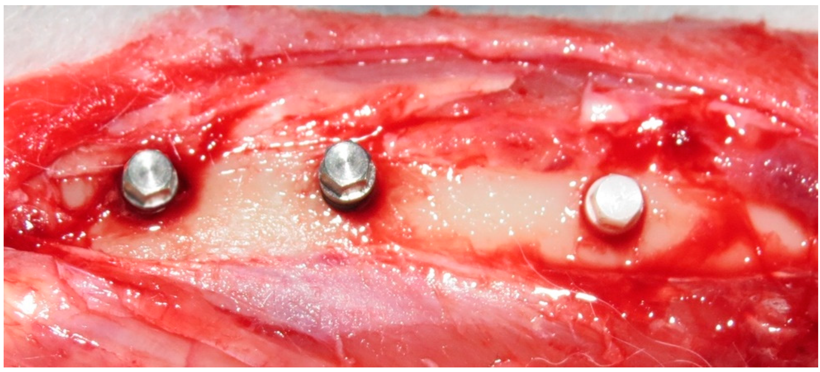 Materials 12 00856 g003