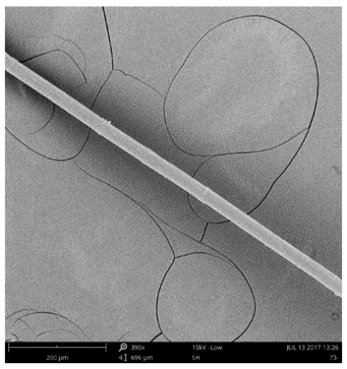 Materials 12 00858 g001 550