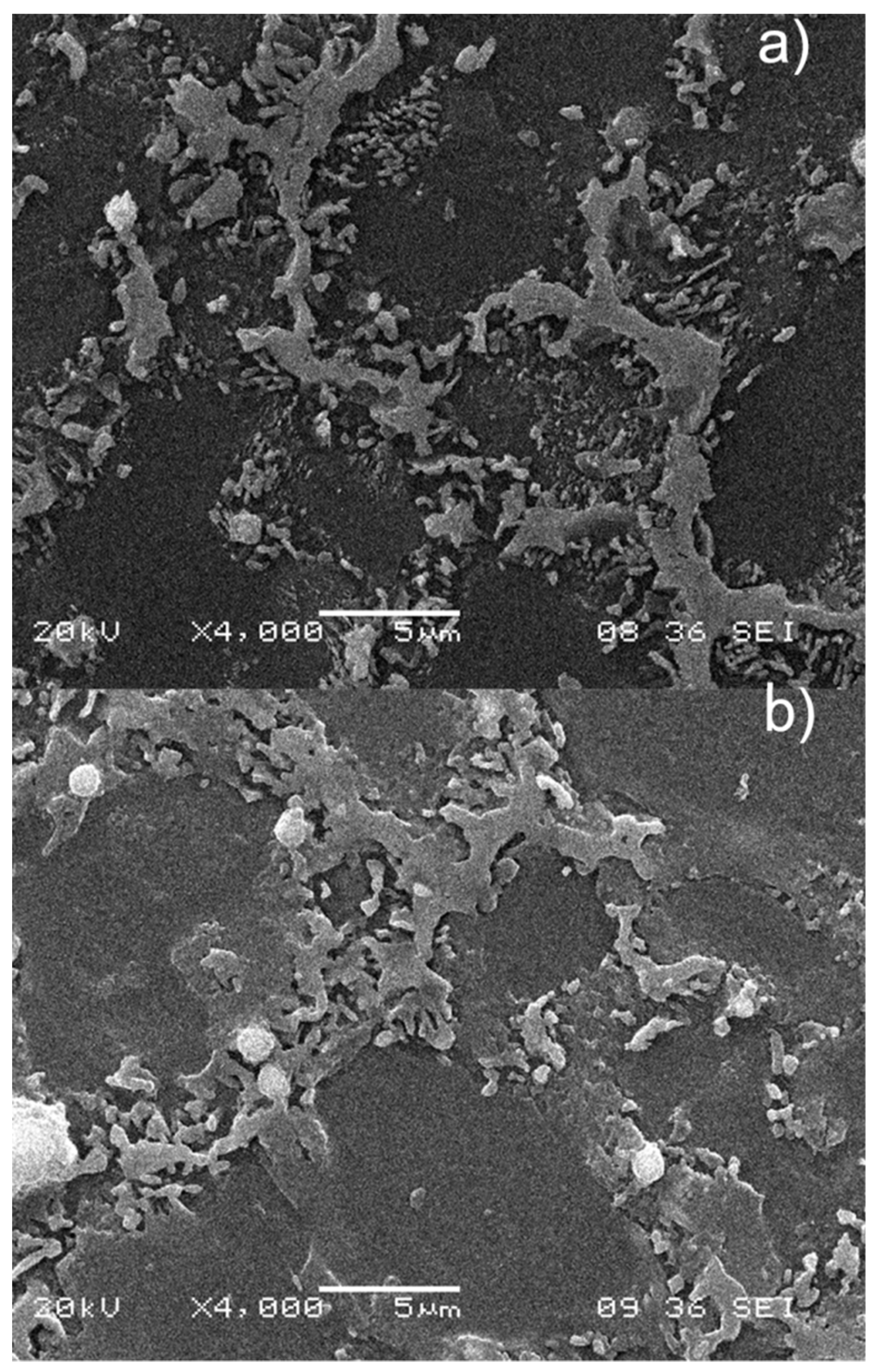 Materials 12 00872 g007 550